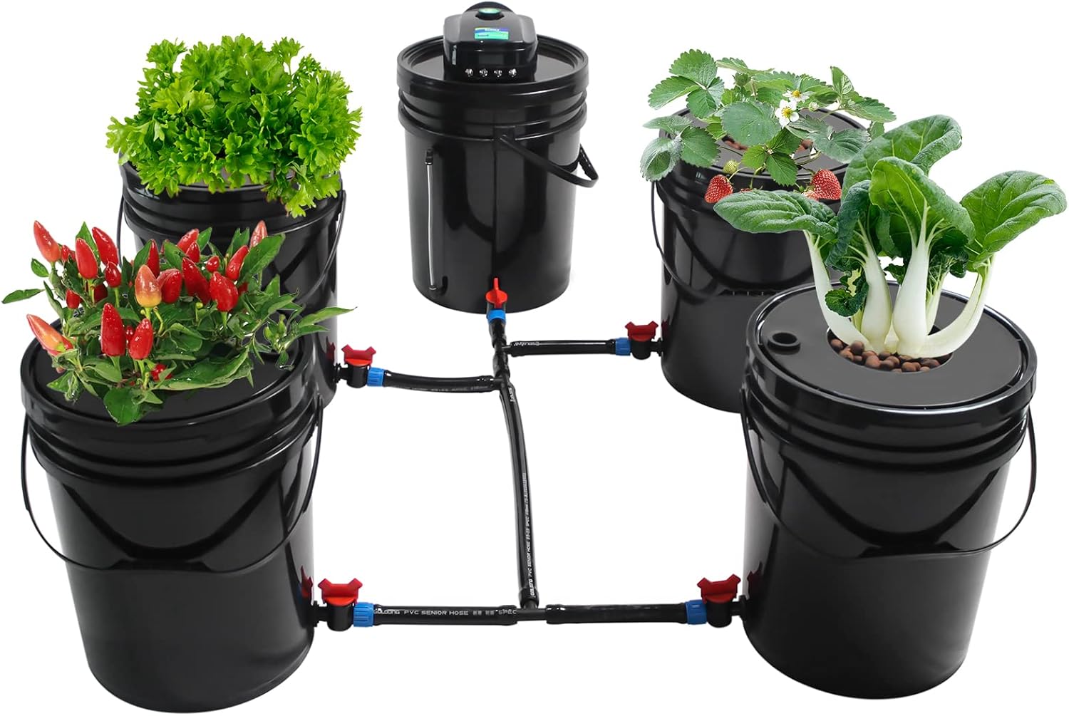 DWC Hydroponic System 5 Kit de cubo hidropónico, sistema de cultivo hidropónico DWC, cultivo de agua profunda de 5 galones con bomba de aire de 12 W