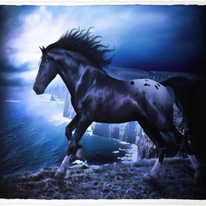 Manta Sherpa de caballo oscuro de 60 x 80 pulgadas, manta de caballo negro, manta súper suave y mullida, manta de forro polar grueso y cálido para Manta Sherpa de caballo oscuro de 60 x 80 pulgadas, manta de caballo negro, manta súper suave y mullida, manta de forro polar grueso y cálido para