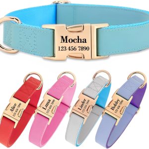 Collar de perro personalizado con nombres y número de teléfono grabado, personalizado para mascotas pequeñas, medianas y grandes, etiquetas para Collar de perro personalizado con nombres y número de teléfono grabado, personalizado para mascotas pequeñas, medianas y grandes, etiquetas para