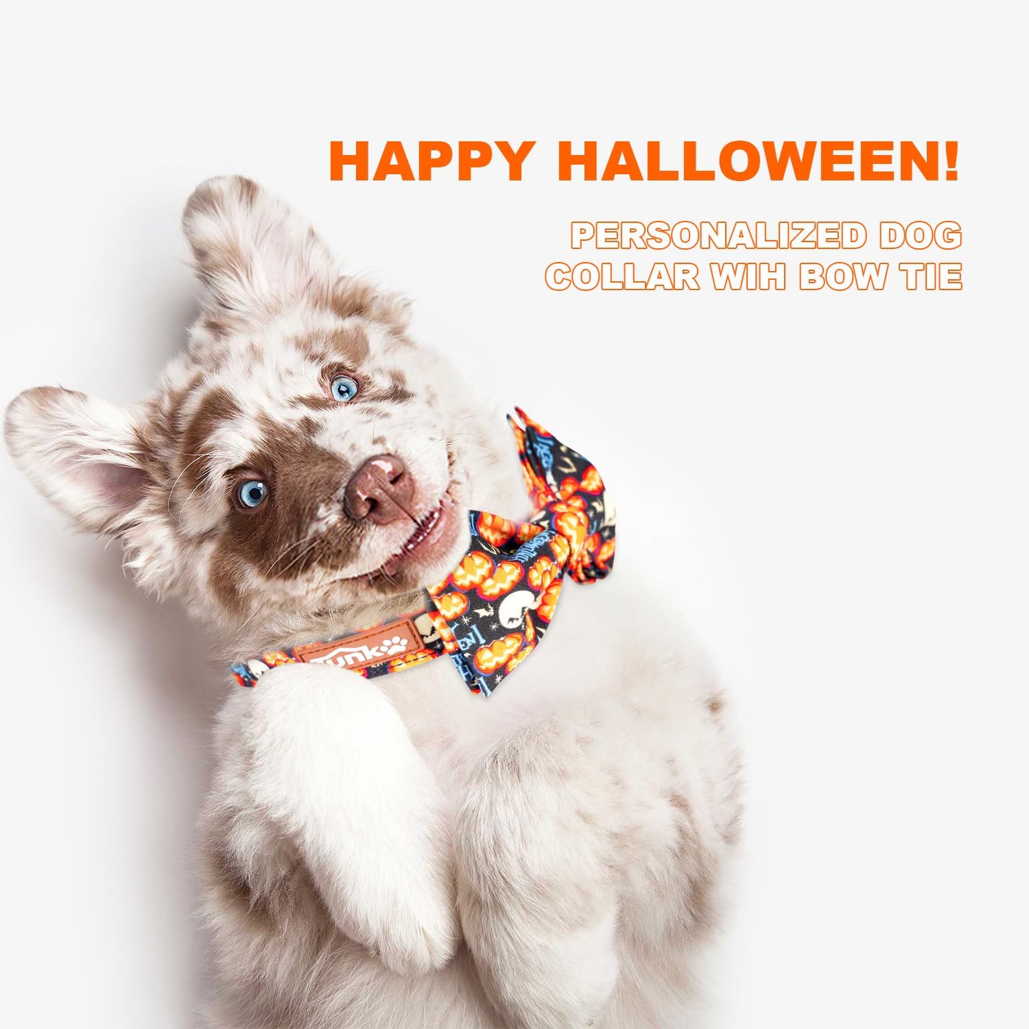 Collar de perro con calabaza de Happy Halloween, duradero, ajustable y elegante, disponible en tamaño pequeño, mediano y grande S