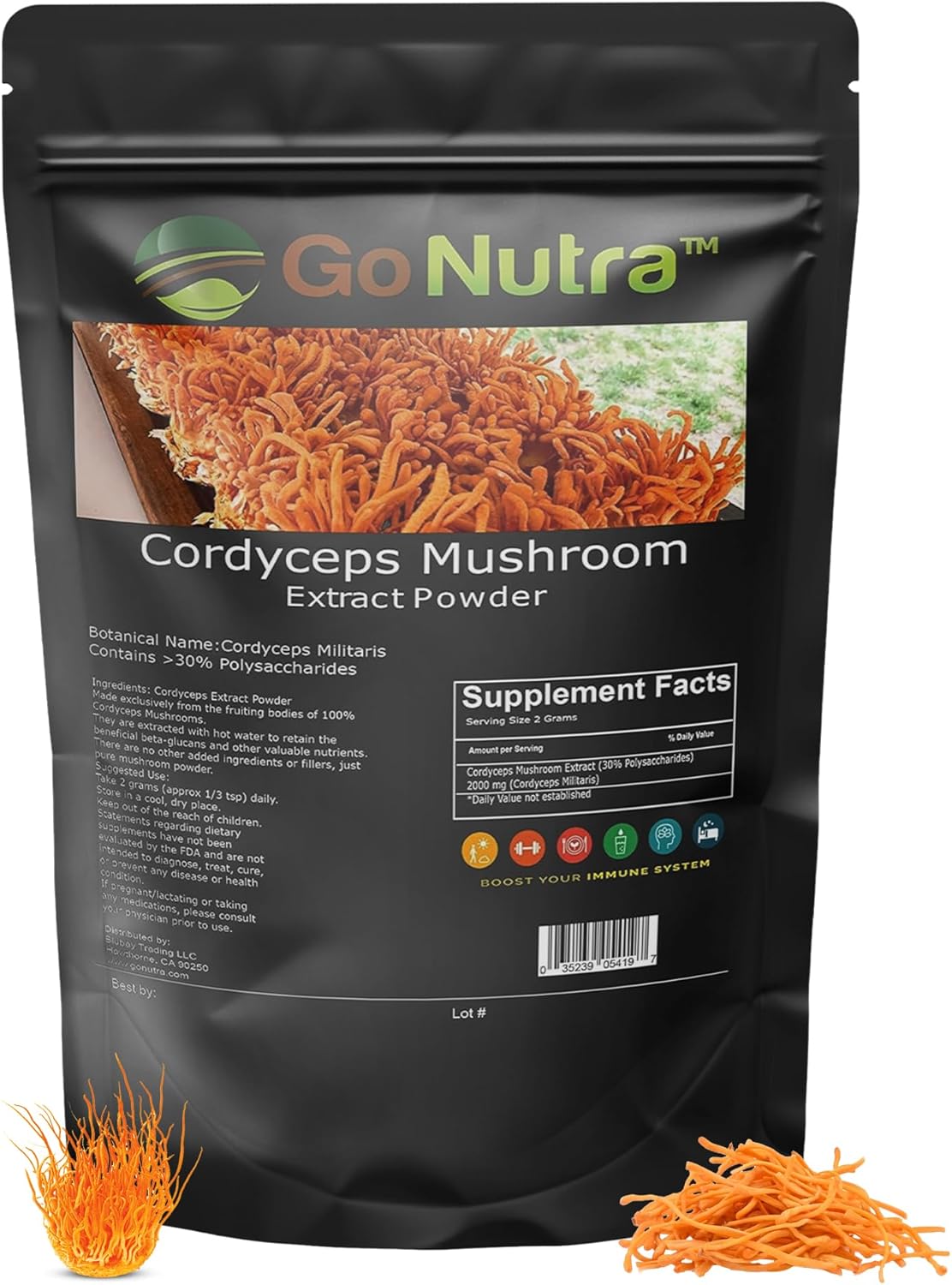 Go Nutra Cordyceps – Polvo de hongos  Extracto de Cordyceps al 30% de polisacáridos sin OMG puro Cordycep en polvo 4 onzas (3.99 oz)
