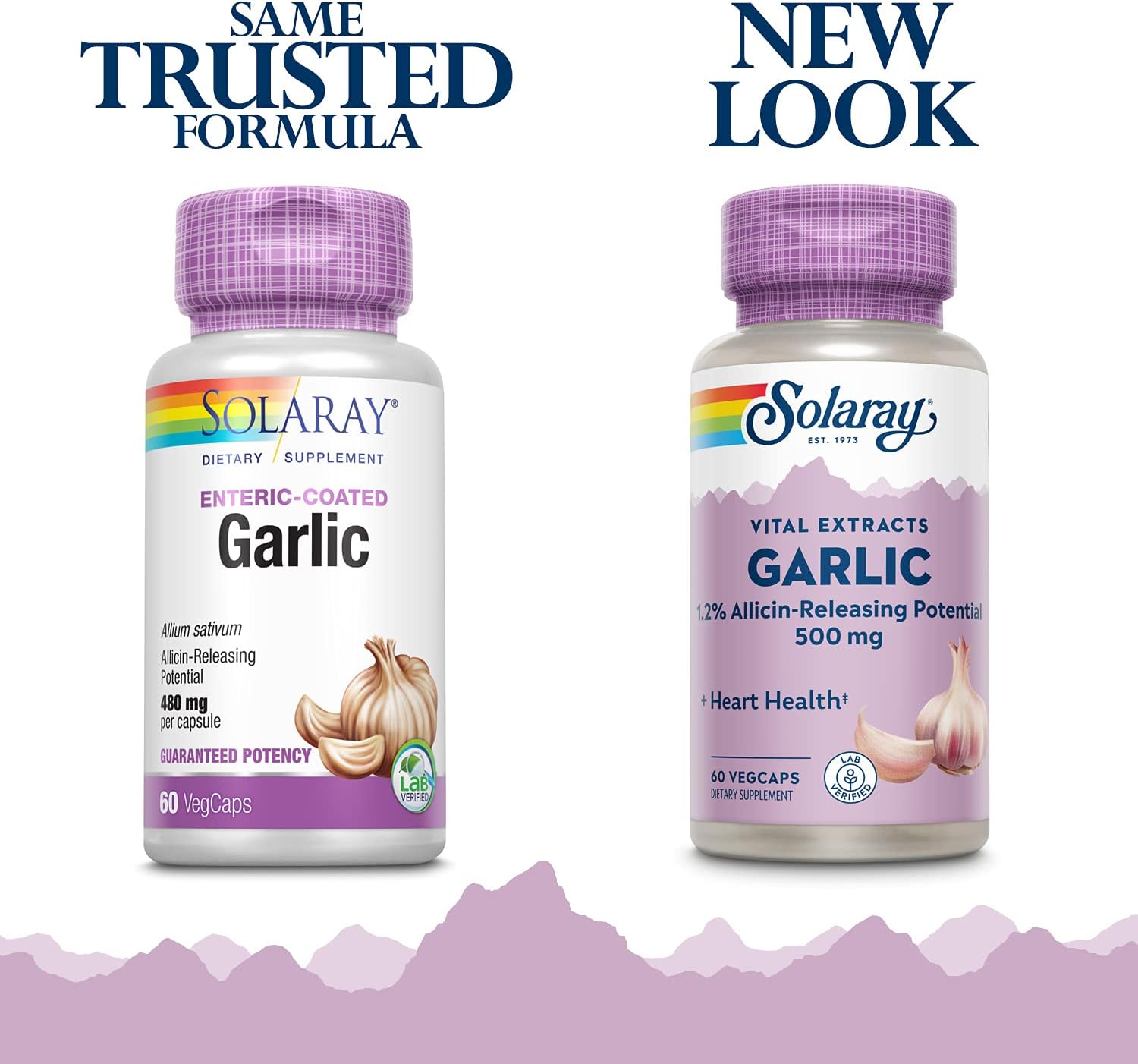 SOLARAY Suplemento de ajo de 500 mg, vegano, extracto de ajo inodoro, utilizado tradicionalmente para la salud del corazón y el apoyo inmunológico,