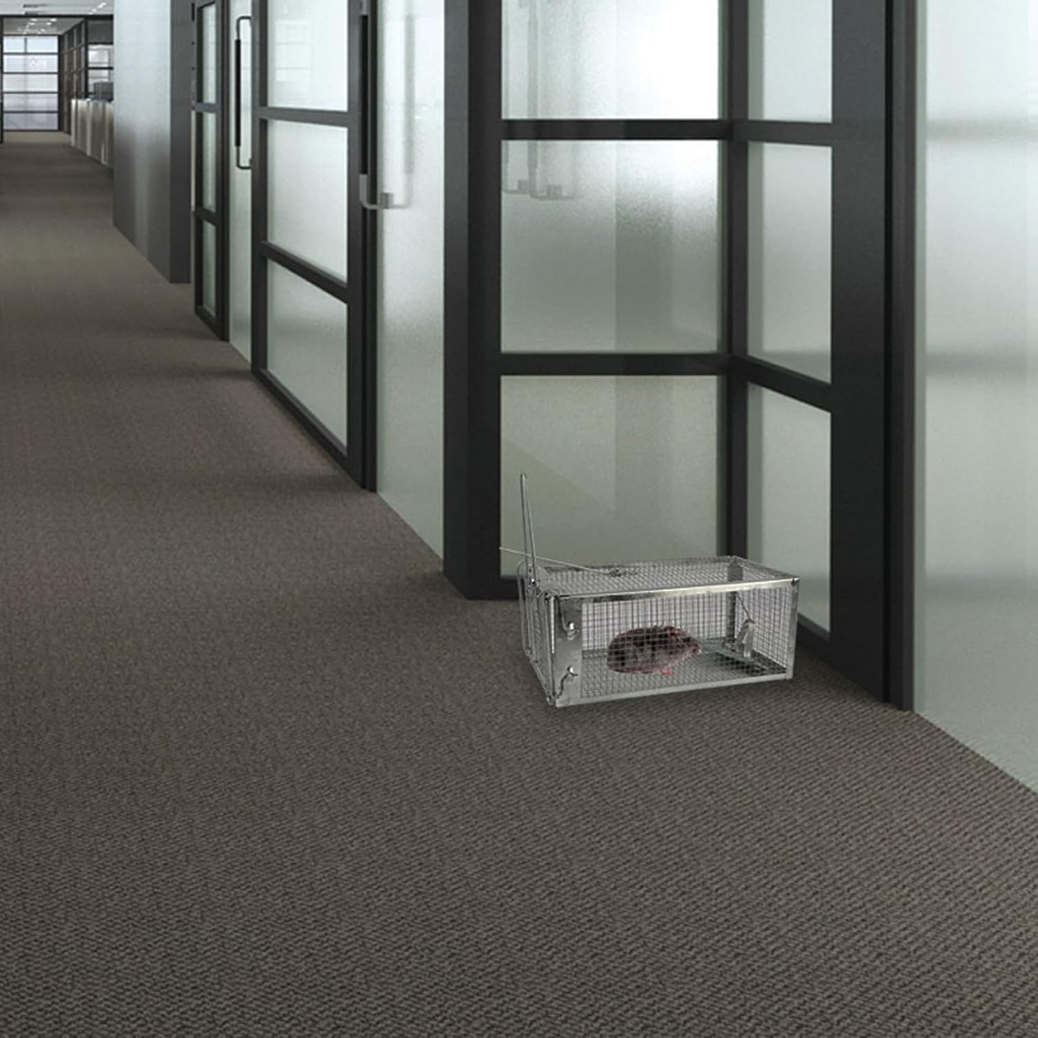 Trampa humana para ratas, pequeña trampa de ardilla viva de 1 puerta que funciona para interiores y exteriores, fácil de atrapar y liberar trampa de