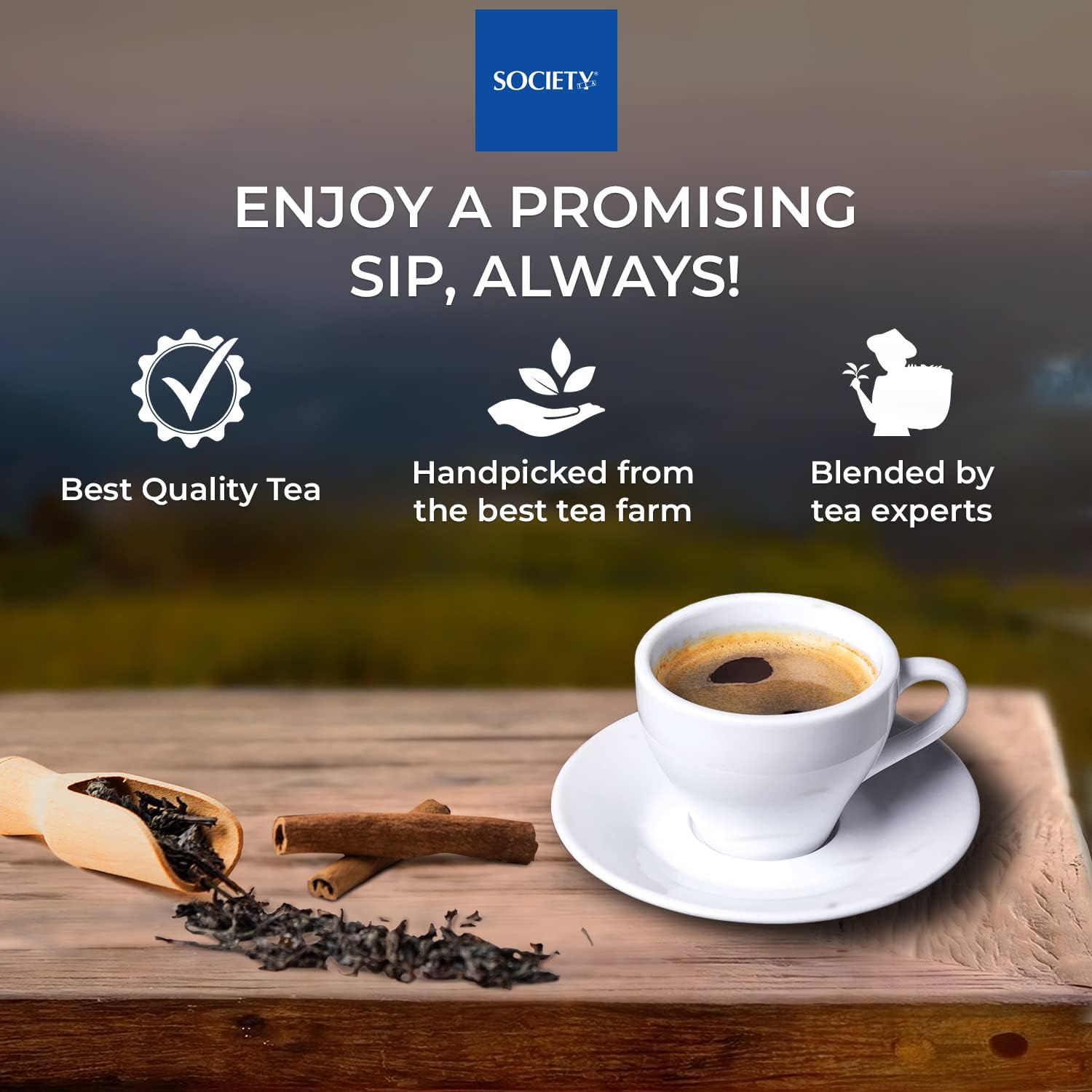 Society Pure Assam Leaf Tea CTC, 32 onzas, 450 tazas, té negro indio orgánico, té Assam puro surtido, rico gránulos de Assam Chai-té con