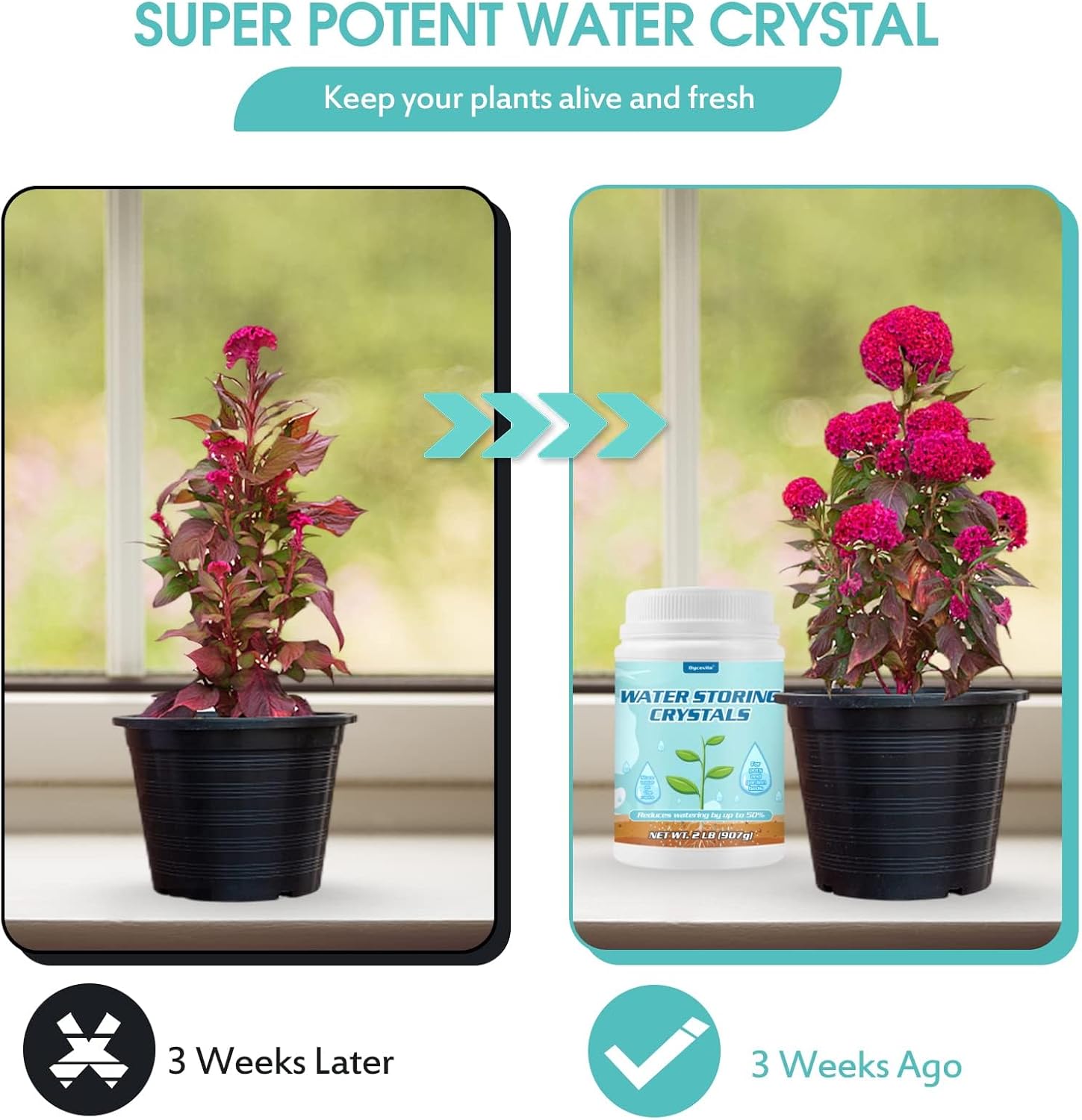 Cristales de almacenamiento de agua de 2 libras para plantas con cuchara, gel de agua que resuelve problemas de riego excesivo y sequía, mantiene el