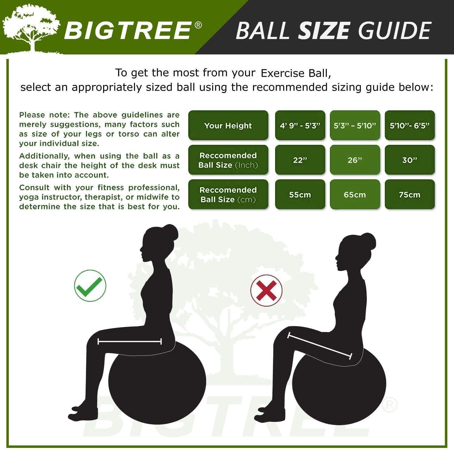 Pelota de ejercicio, pelota de yoga, equilibrio de pilates, antiestallido, con bomba de estabilidad, pelota de fitness, silla de parto para