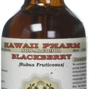 BlackBerry Extracto líquido sin alcohol, mora orgánica (Rubus fruticosus) glicerita de hoja seca 2 onzas BlackBerry Extracto líquido sin alcohol, mora orgánica (Rubus fruticosus) glicerita de hoja seca 2 onzas