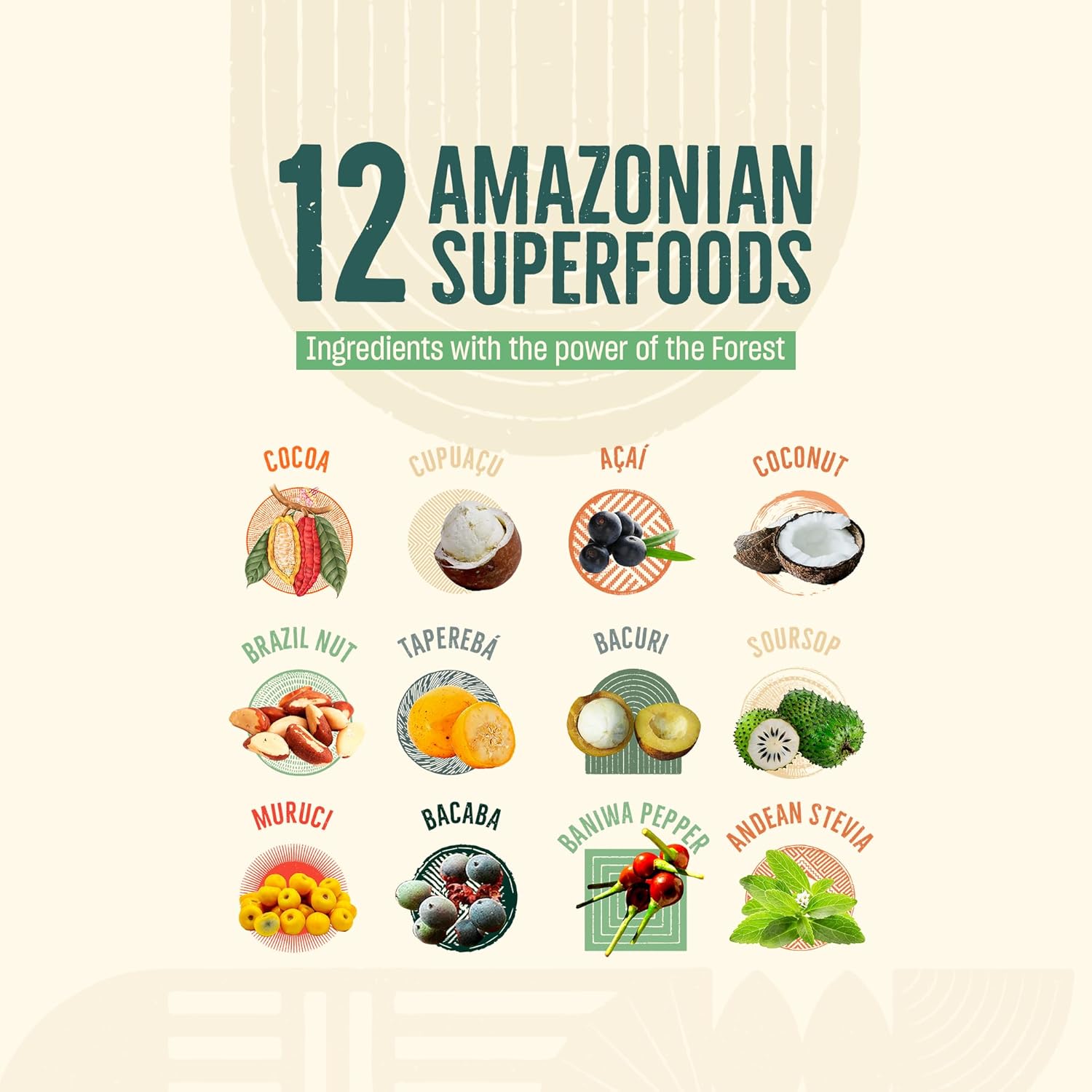 Reemplazo de comida vegana  12 superalimentos amazónicos, fibra y proteína en polvo completo a base de plantas  Bajo en carbohidratos, sin OMG, sin