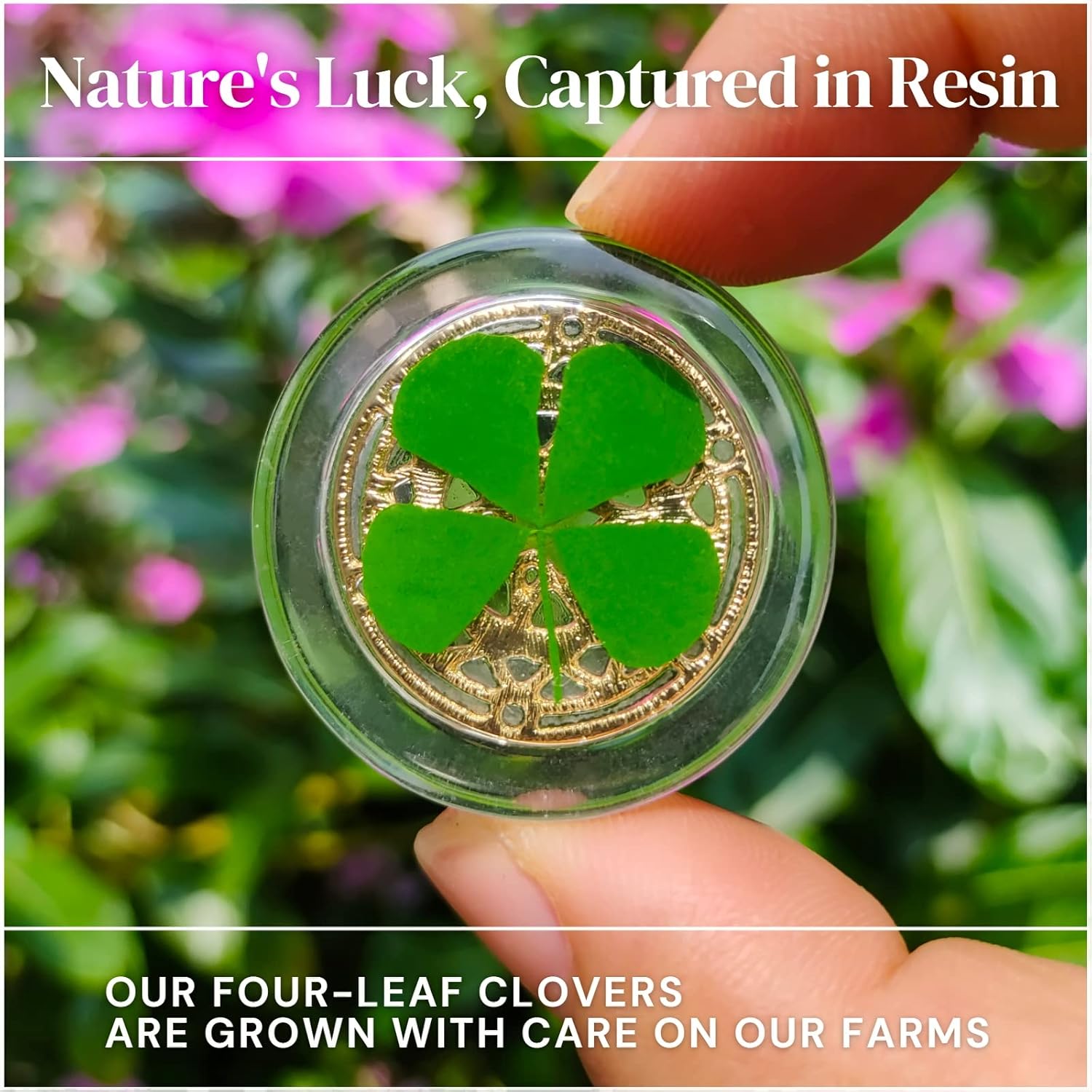 1 Pair Real Four Leaf Clover with Metals Magic Ornaments – Lucky Charms Lucky Coin, Moon Sun Star Good Luck Gift for Friends Family