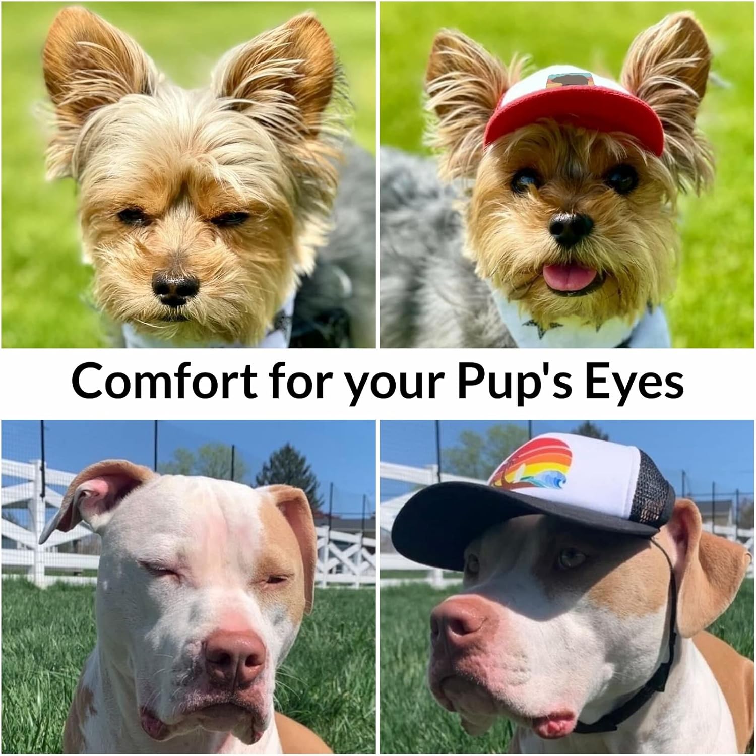 PupLid Sombreros de camionero para perros (pequeños), protección solar elegante de alta calidad para el perro moderno, ajustables para un ajuste