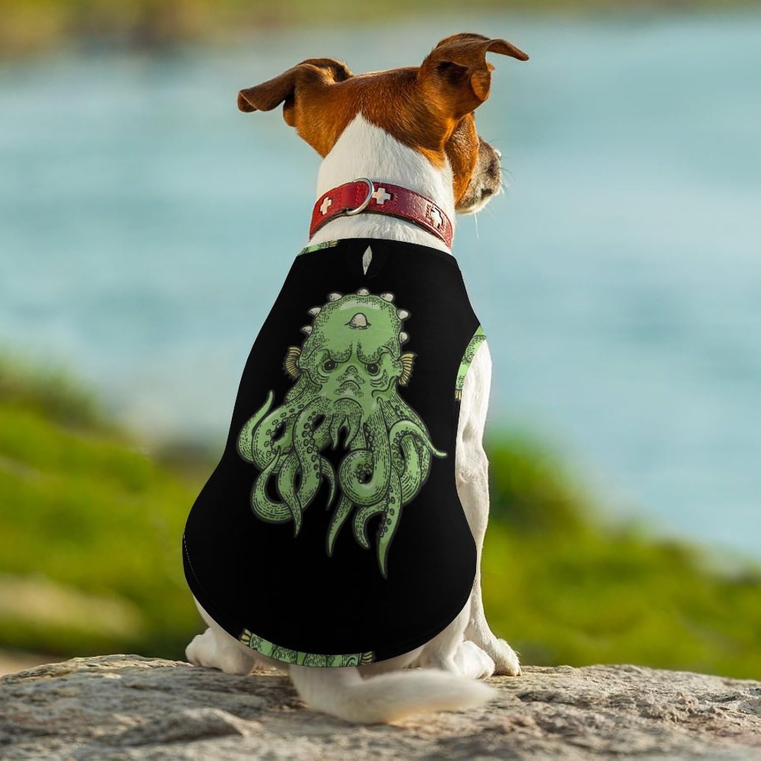 Cute Cthulhu Myth Creature Dog Clothes Pullover Dog Shirts Soft Pet Vest Tank Top for Small Medium Dogs & Cats L