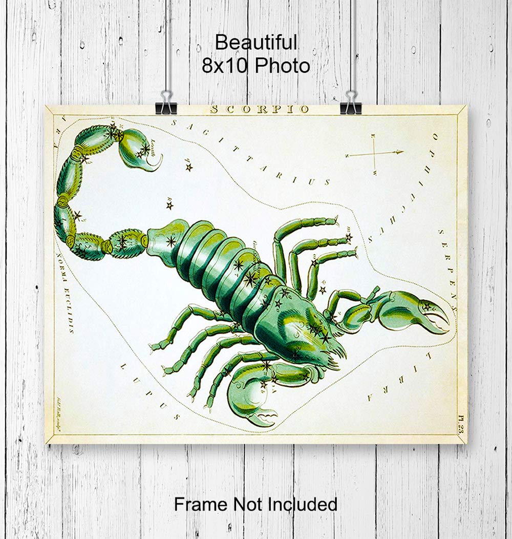 Vintage Scorpio Astrological Zodiac Chart – Great Gift and Chic Home Decor – Stars – Ready to Frame (8×10) Photo