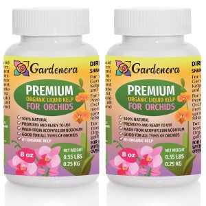 Orchid Health Boost – 16 oz – Extracto concentrado de algas marinas y algas para orquídeas fuertes y resistentes Orchid Health Boost – 16 oz – Extracto concentrado de algas marinas y algas para orquídeas fuertes y resistentes