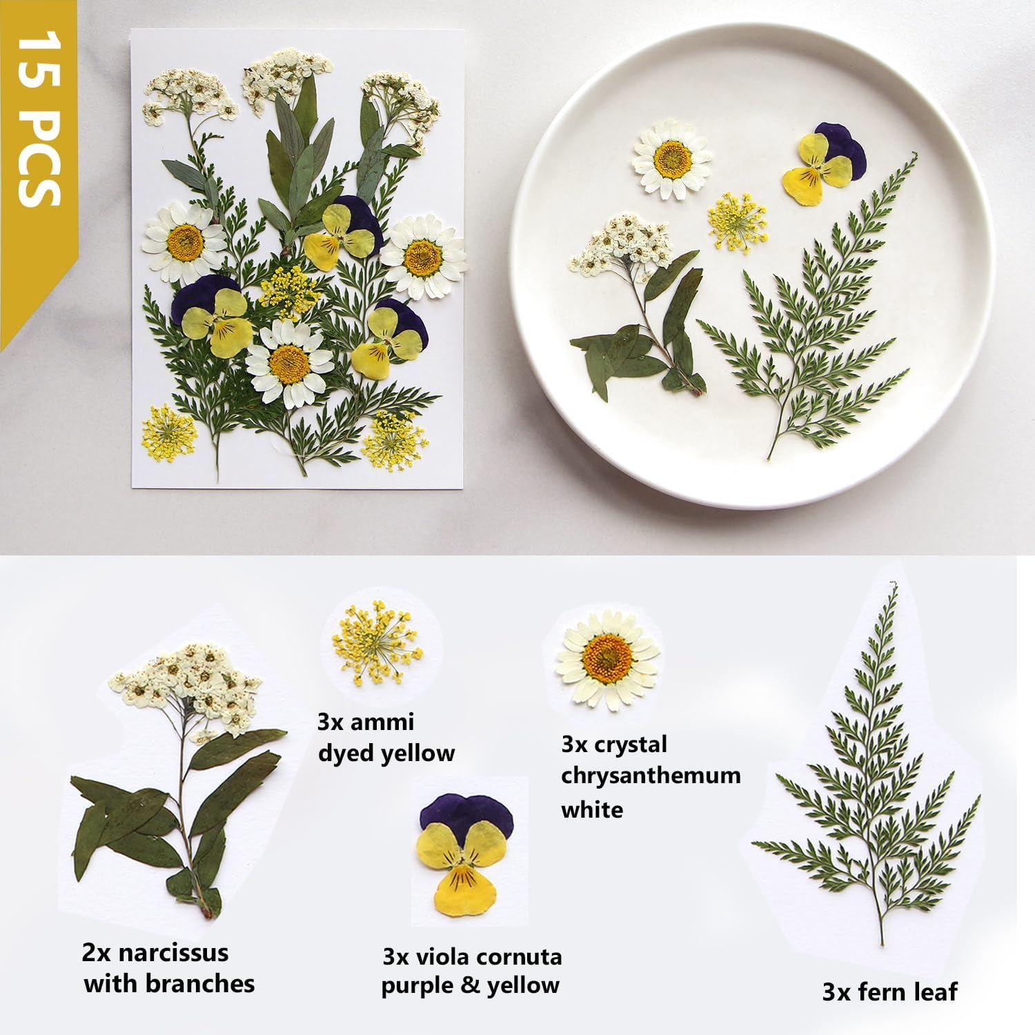 Flores secas prensadas, flores blancas naturales prensadas para manualidades, juego de hojas pequeñas de flores reales para resina, bricolaje,