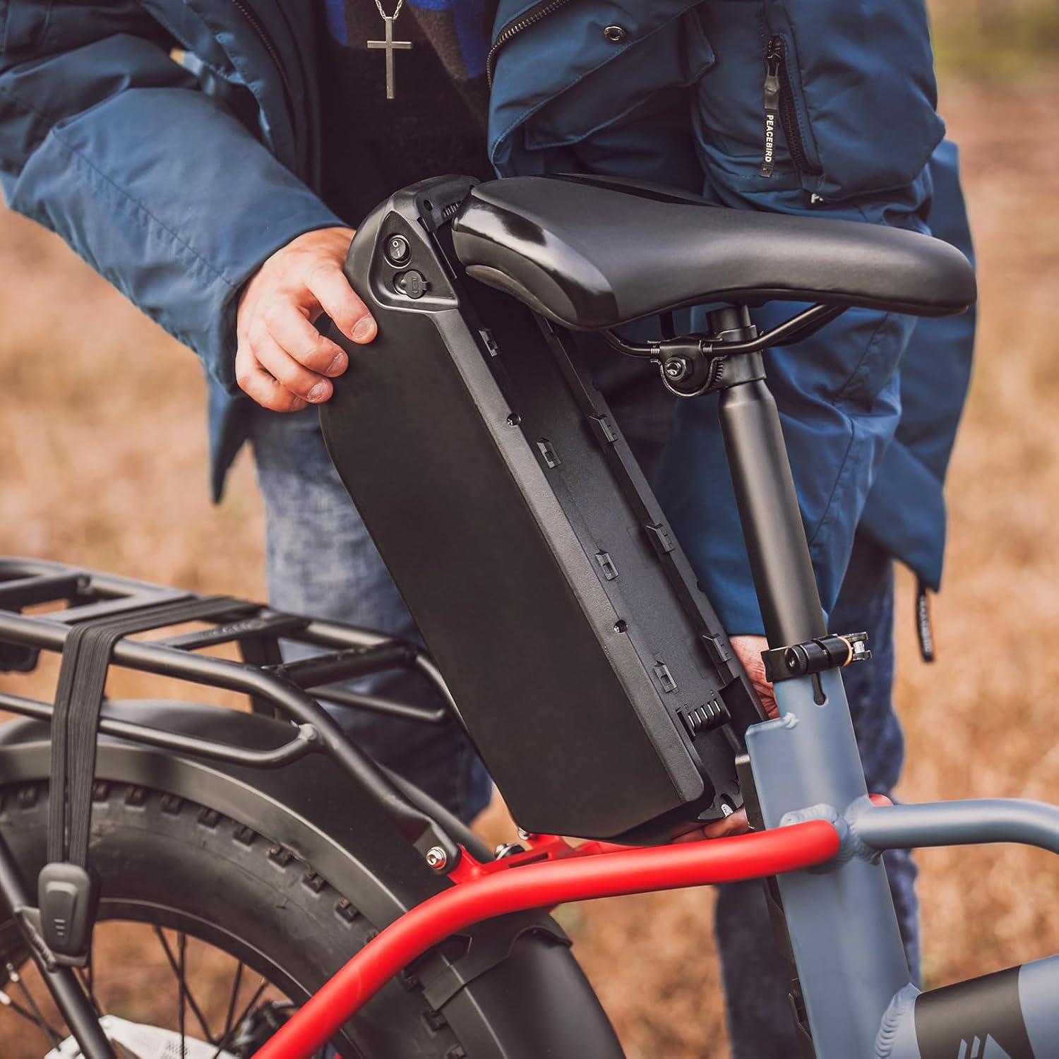 Bona Ebike Bicicleta eléctrica plegable para adultos, 750 W, velocidades de hasta 25 MPH, batería extraíble grande de 48 V 15 Ah, batería extraíble