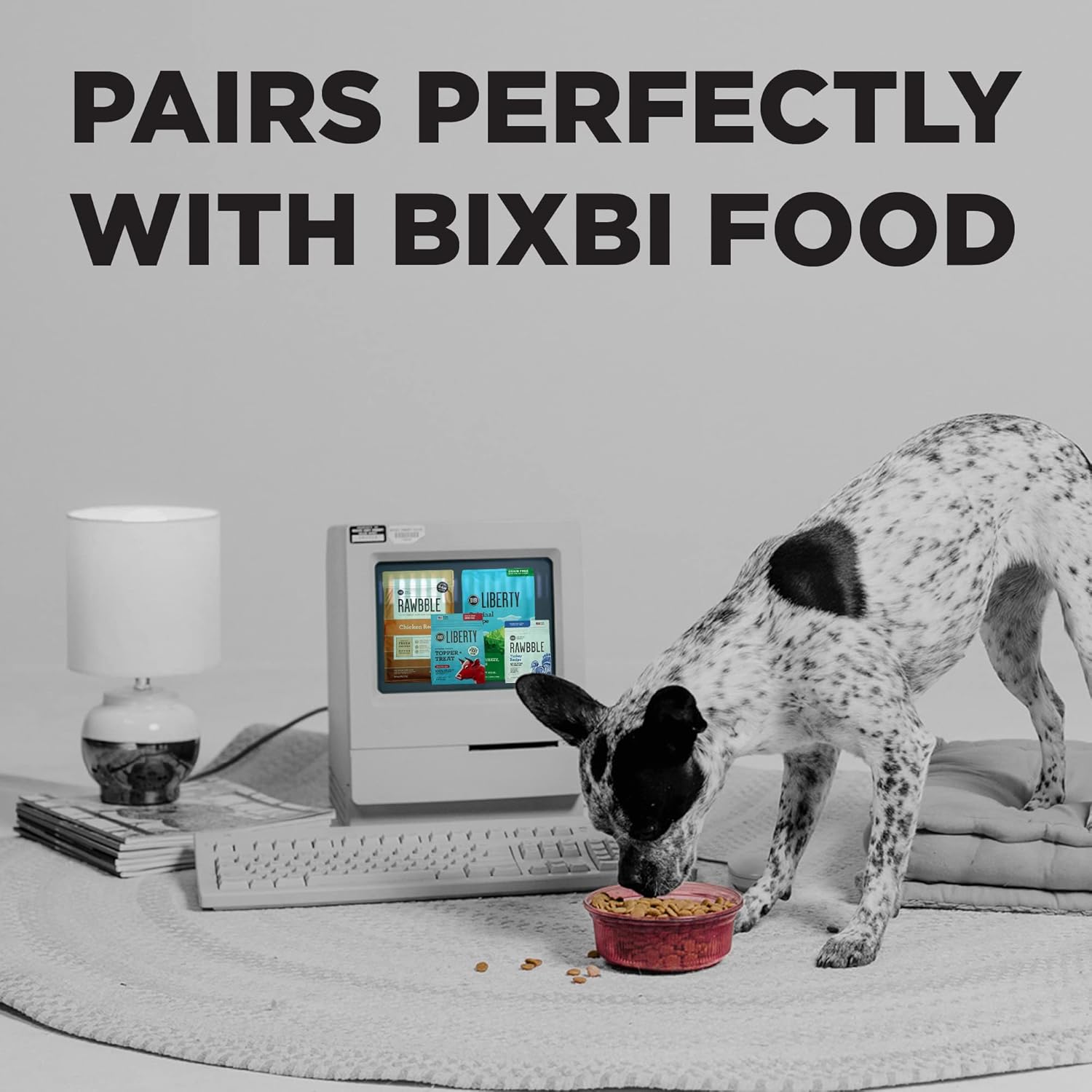 BIXBI Golosinas para perros Jerky, pollo original, 10 onzas, golosinas para perros sin granos hechas en Estados Unidos, alto en proteínas, nutrición