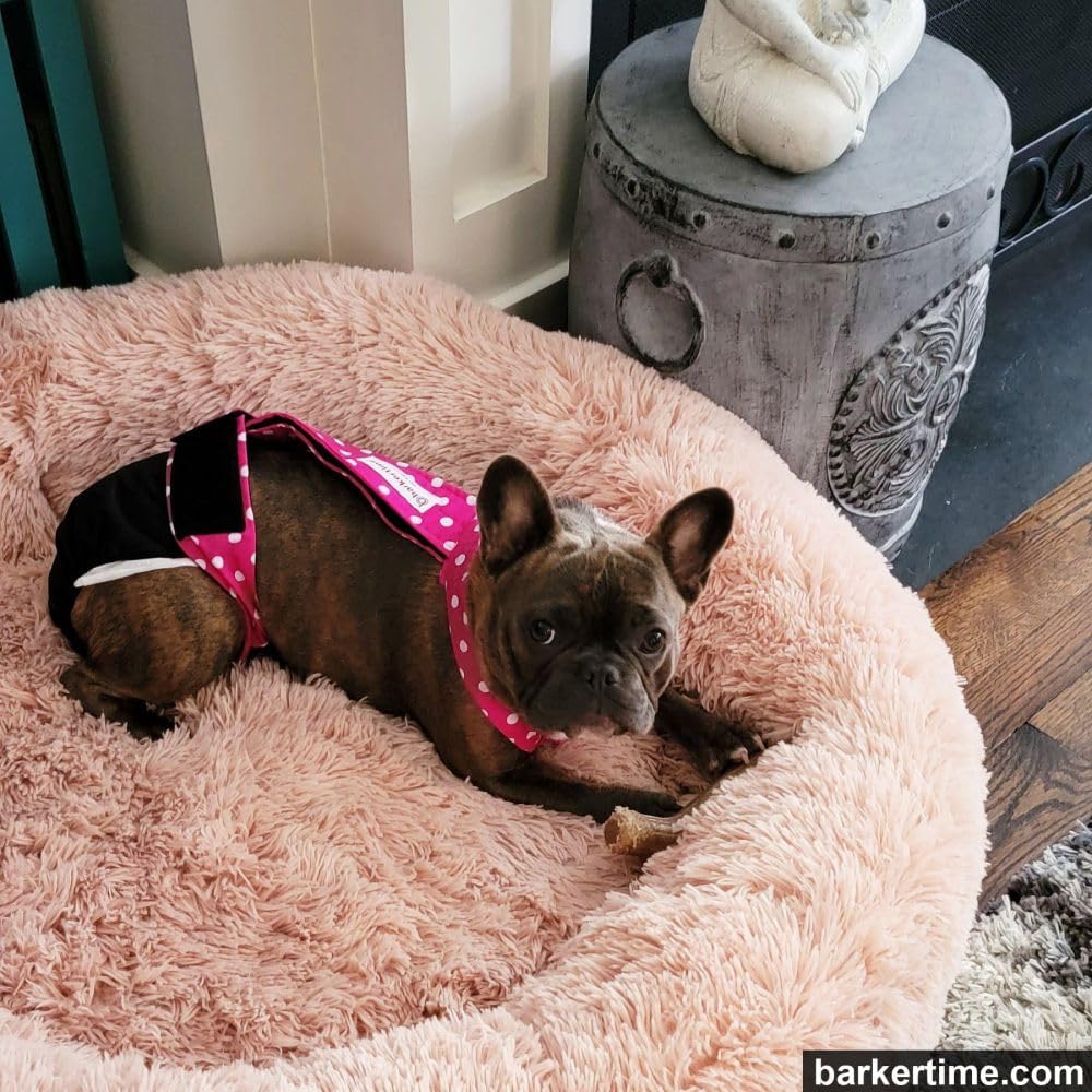 Pañal para perro de alta calidad, impermeable, a prueba de escapes, con lunares rosados sobre negro, talla M, sin agujero para la cola, fabricado en