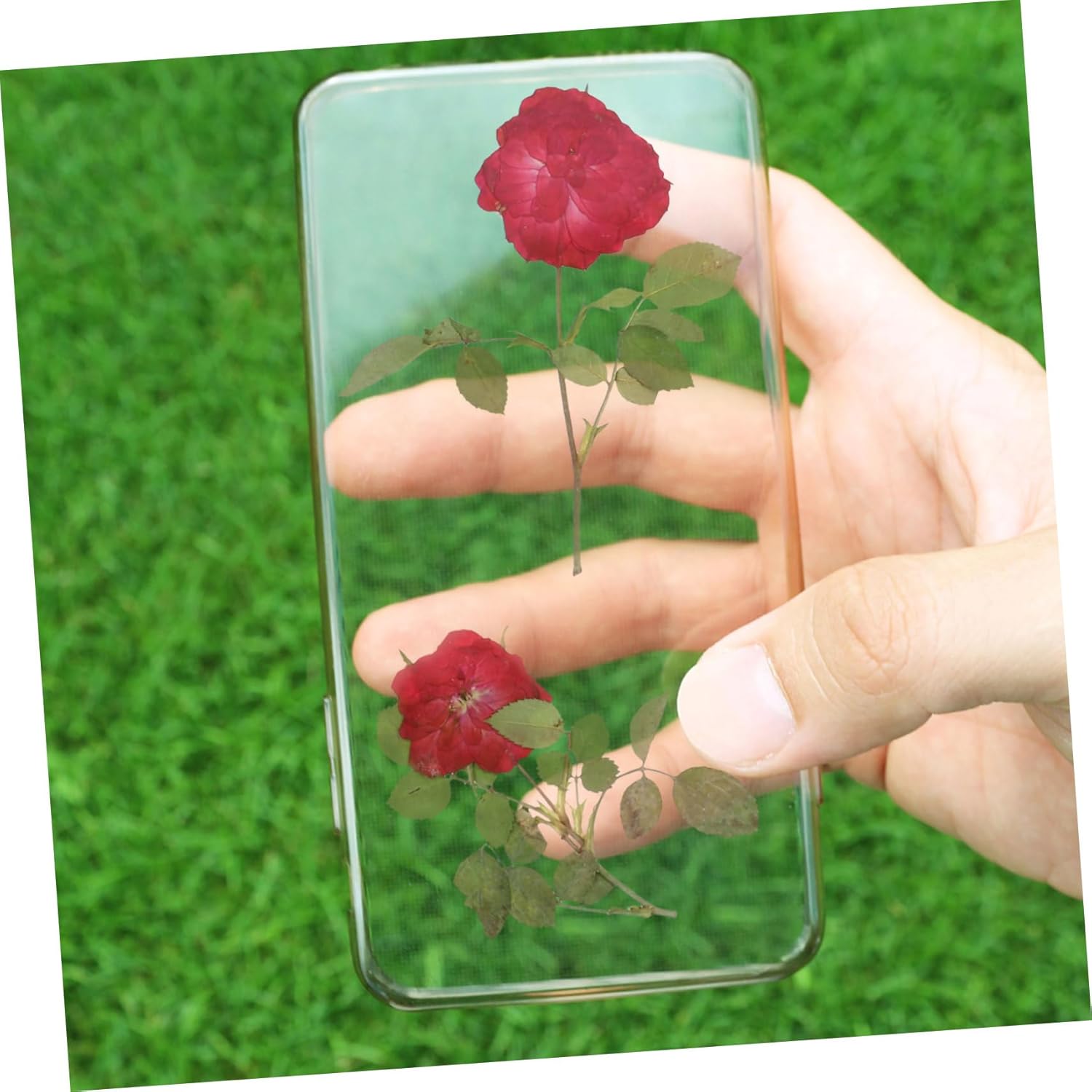 EXCEART 1 juego de flores secas, hojas prensadas secas, tallo de pino prensado real para decorar hojas secas para hacer velas, decoración de