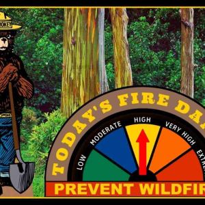 Smokey Bear Adjustable Working Gauge Sign 8″x12″ Made In USA All Weather Metal. Adjust Gauge For Changing Fire Safety Conditions! U.S. Forest Smokey Bear Adjustable Working Gauge Sign 8″x12″ Made In USA All Weather Metal. Adjust Gauge For Changing Fire Safety Conditions! U.S. Forest