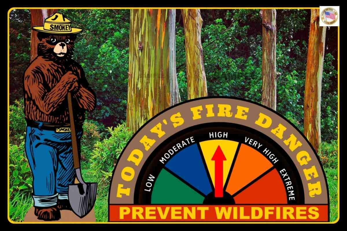 Smokey Bear Adjustable Working Gauge Sign 8″x12″ Made In USA All Weather Metal. Adjust Gauge For Changing Fire Safety Conditions! U.S. Forest