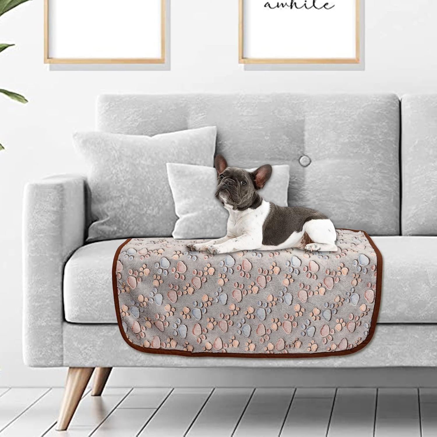 Awaytail Paquete de 3 mantas para perros medianos, mantas para cachorros para sofá, mantas para mascotas para cama de perro, manta de gatito, mantas