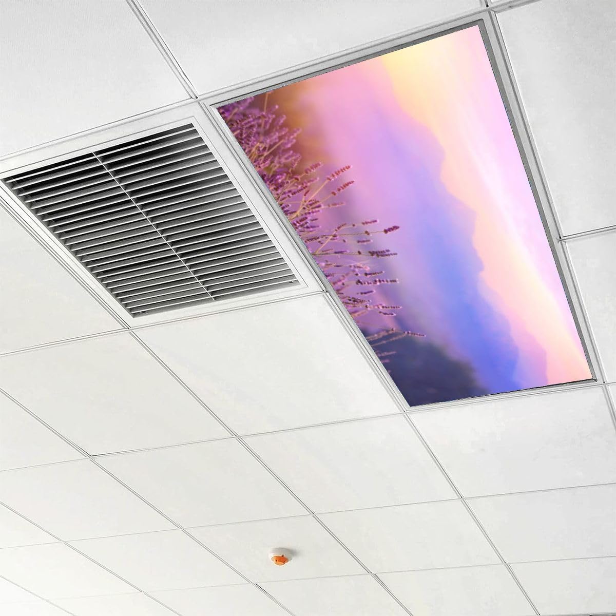 Paquete de 6 cubiertas fluorescentes para luz de techo, flores de lavanda al atardecer, filtros de luz Provenza Francia para aula, oficina, hogar,