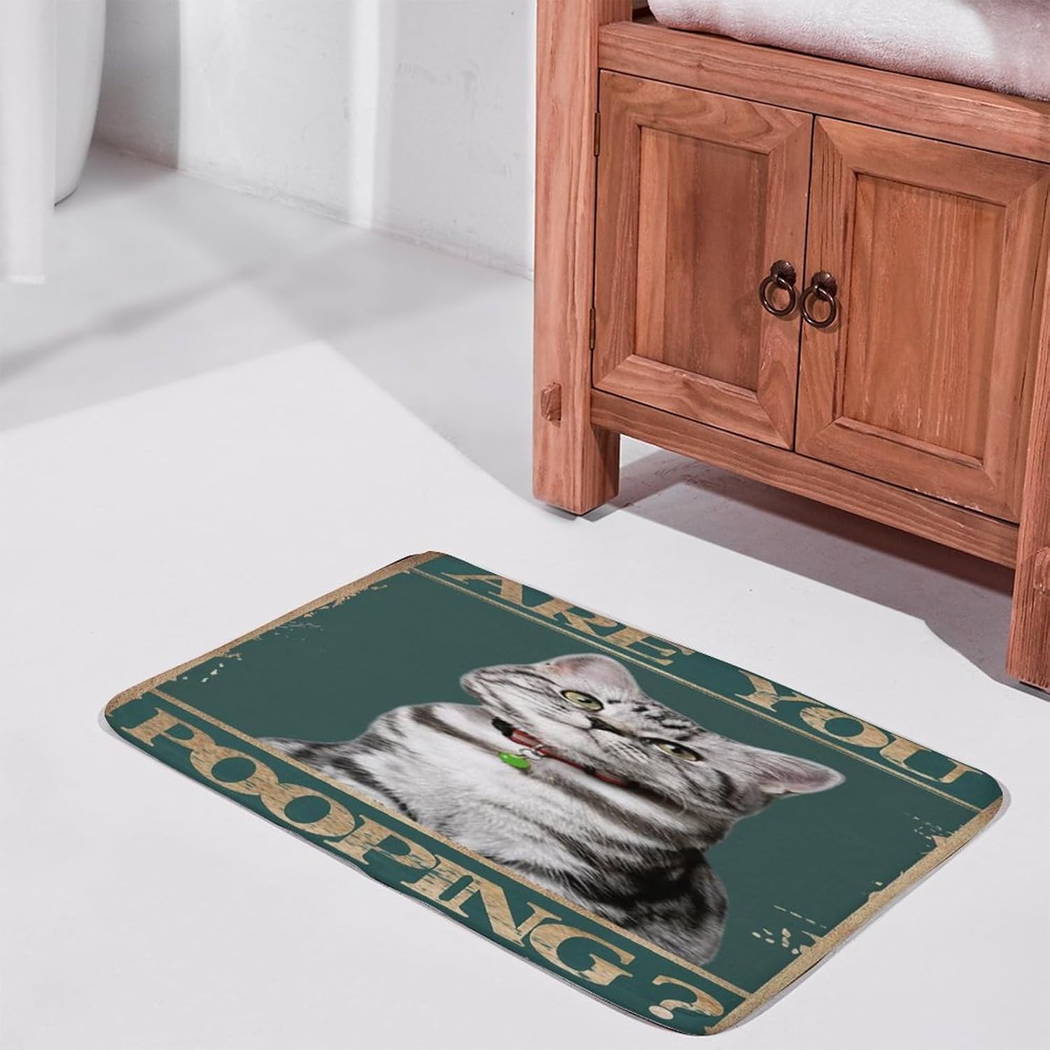 Divertido tapete de baño, tapete de baño con texto en inglés “are you pooping”, tapete de baño de gato, tapete de baño original, vintage, de estaño,