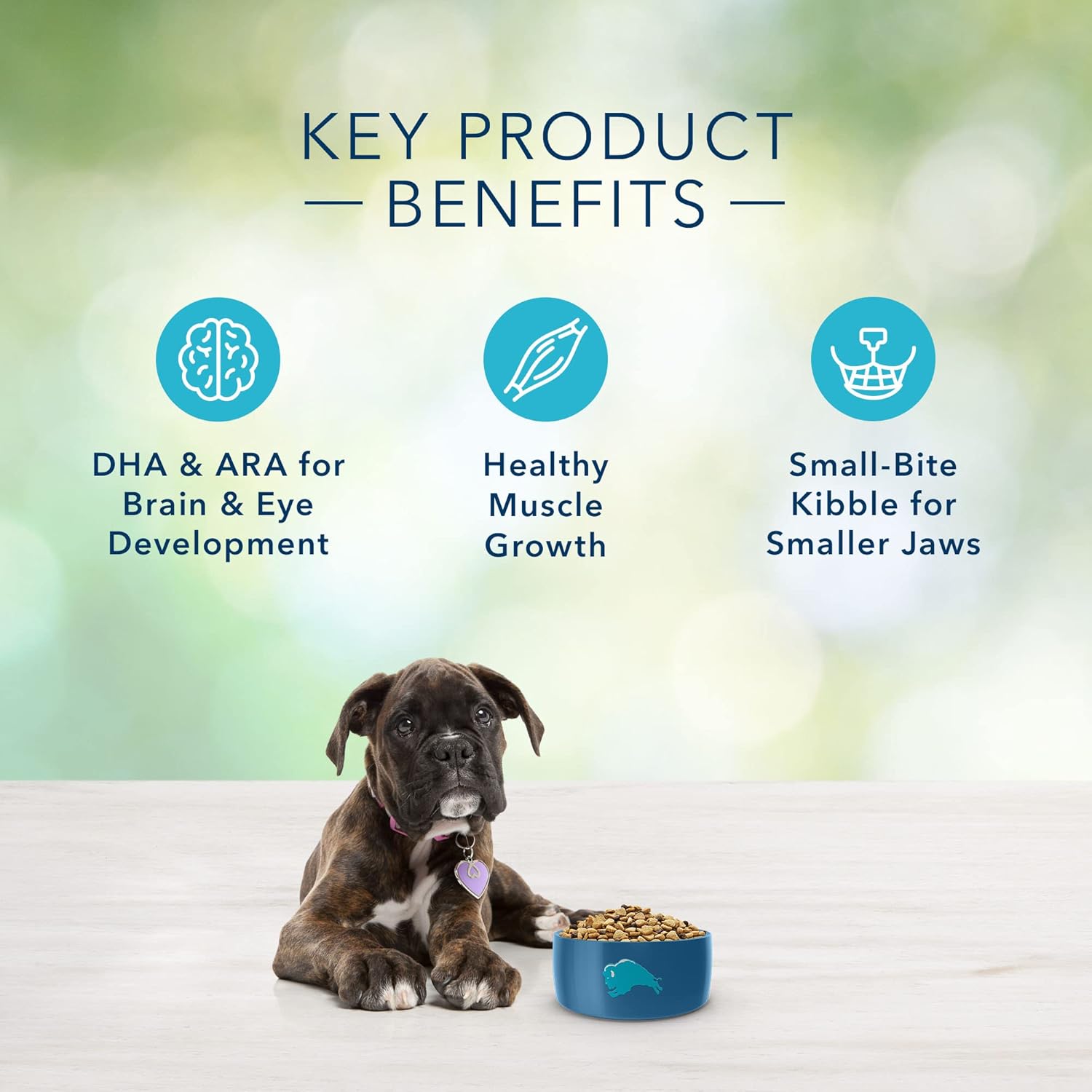 Blue Buffalo Freedom – Alimento seco natural para cachorros, sin granos, pollo, 11 libras