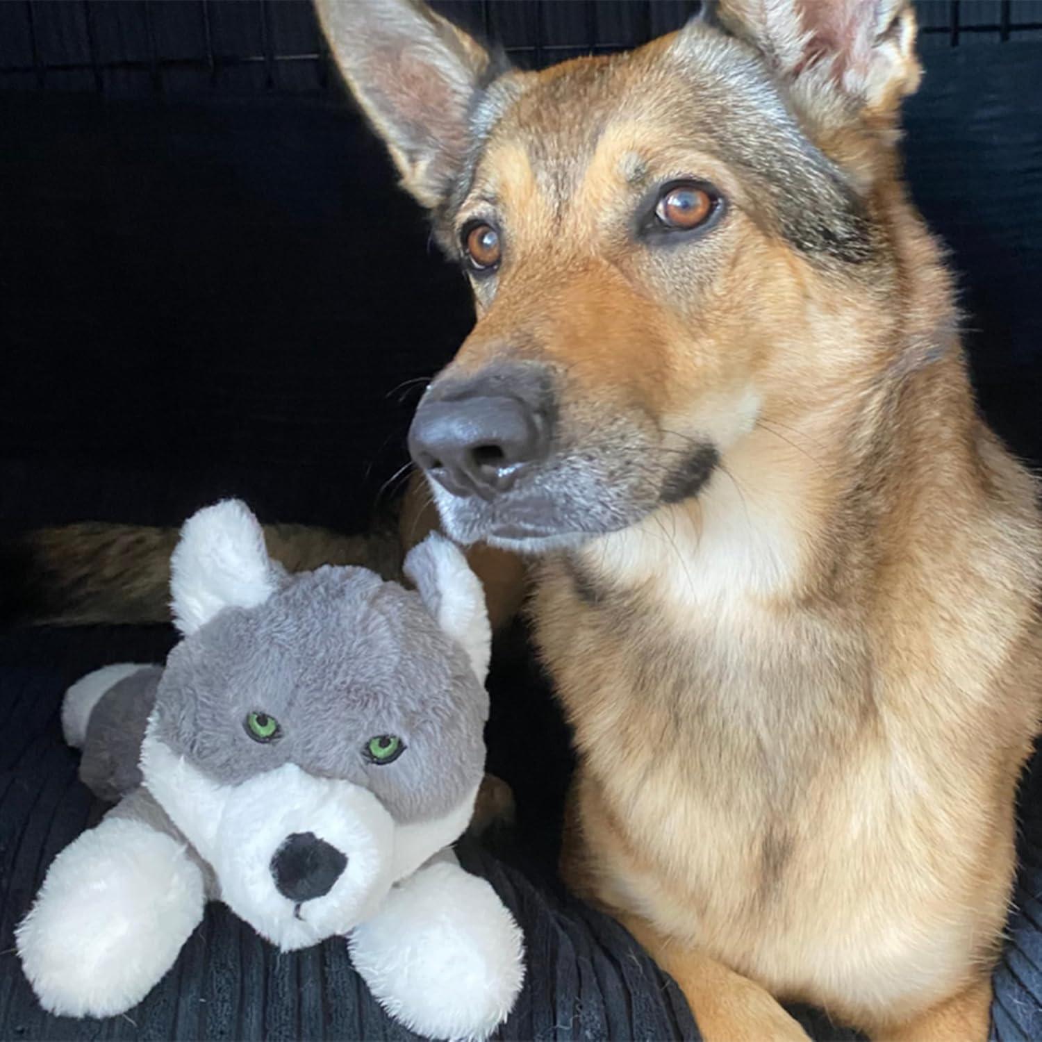 Fenrir Juguete de peluche esponjoso de lobo para perros