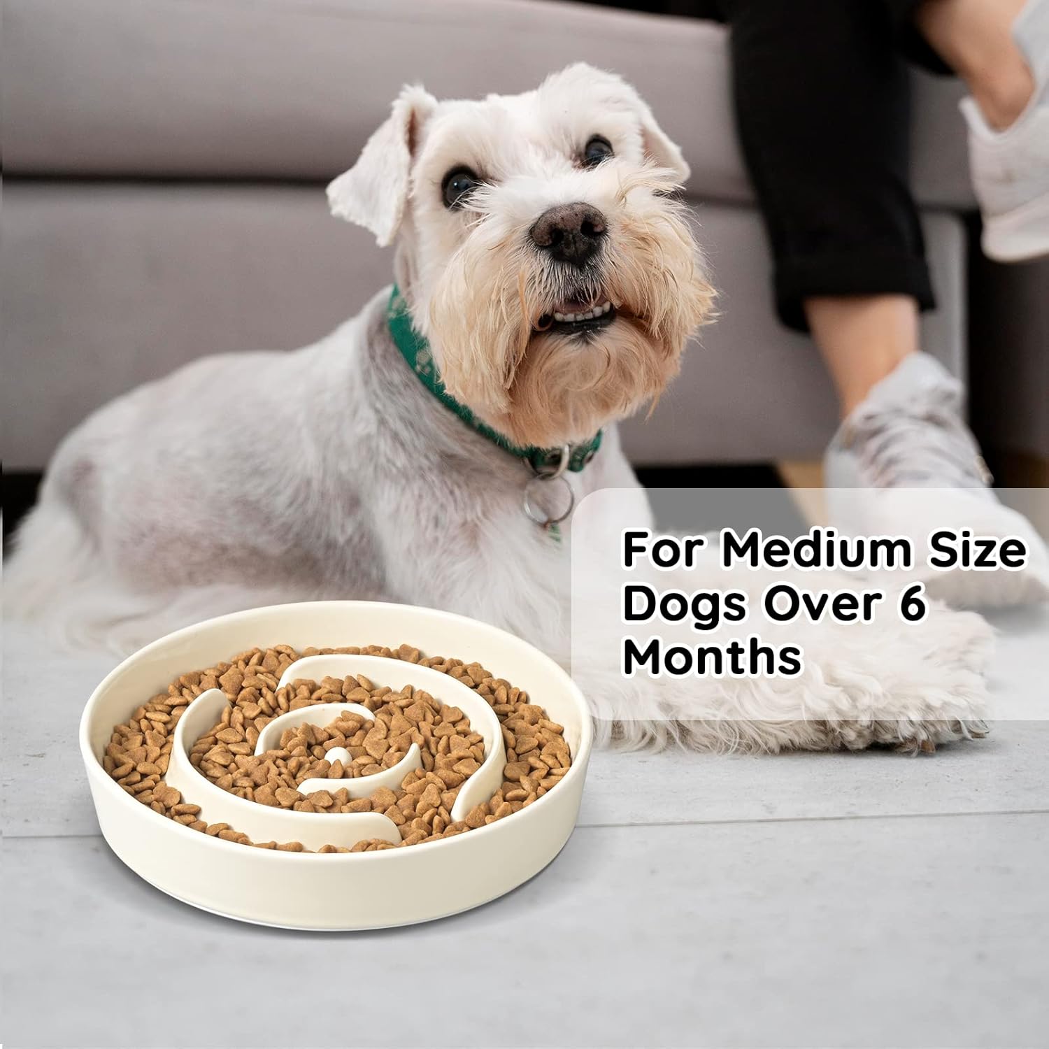 SPUNKYJUNKY Cuencos de cerámica para perros de alimentación lenta para razas pequeñas y medianas, comer lentamente, platos antiasfixia, alimentación