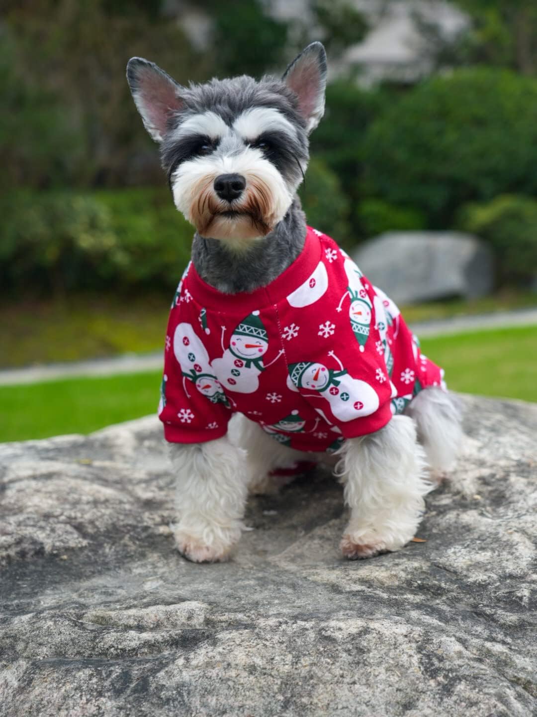 bonita pijama para perros, para mascotas pequeñas, diseño de muñeco y copos de nieve, color rojo, 95% algodón, 5% licra