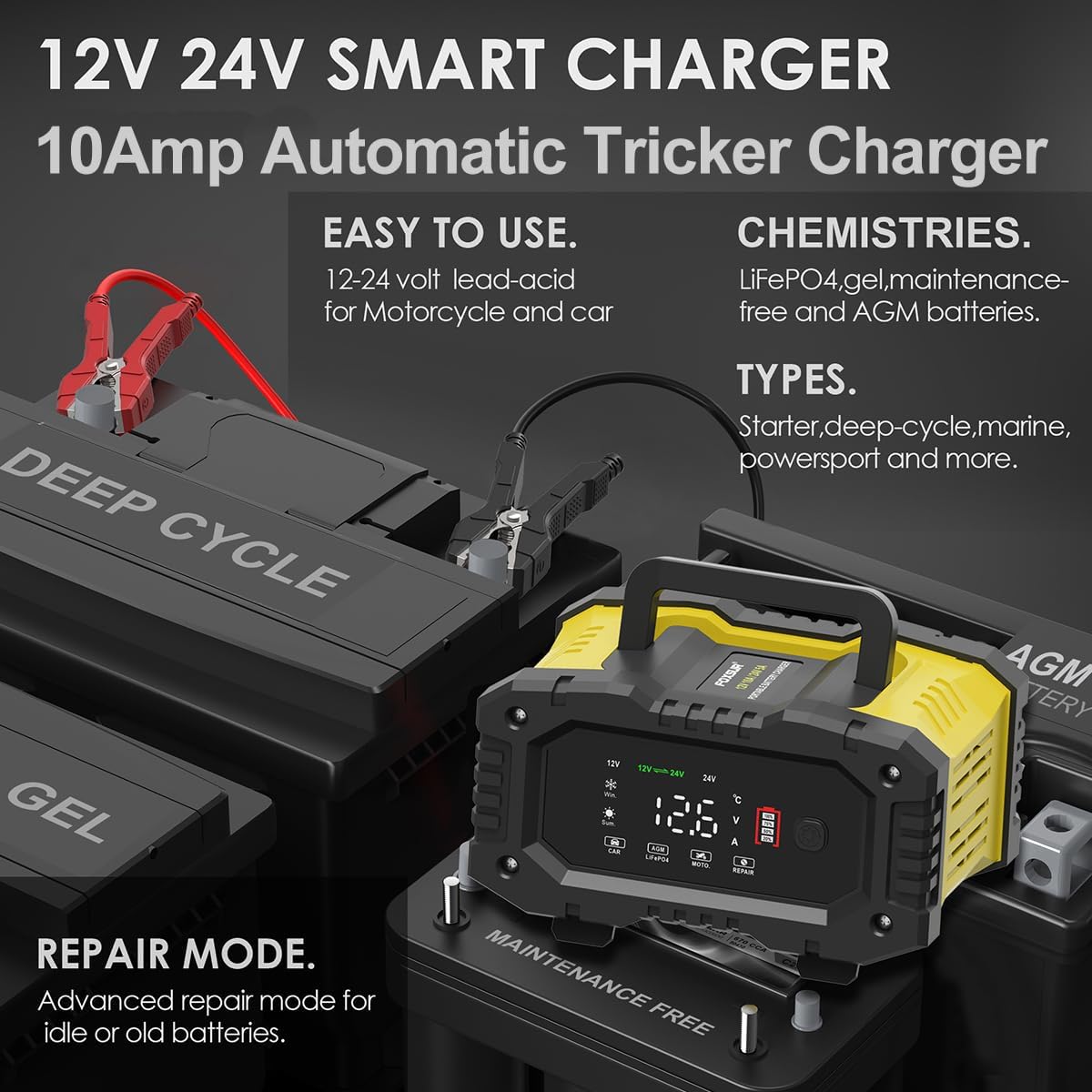 Cargador de batería de coche de 10 amperios, LiFePO4plomo-ácido de 12 V y 24 V (AGMGelSLA..) Cargador de batería automotriz, mantenedor de batería,