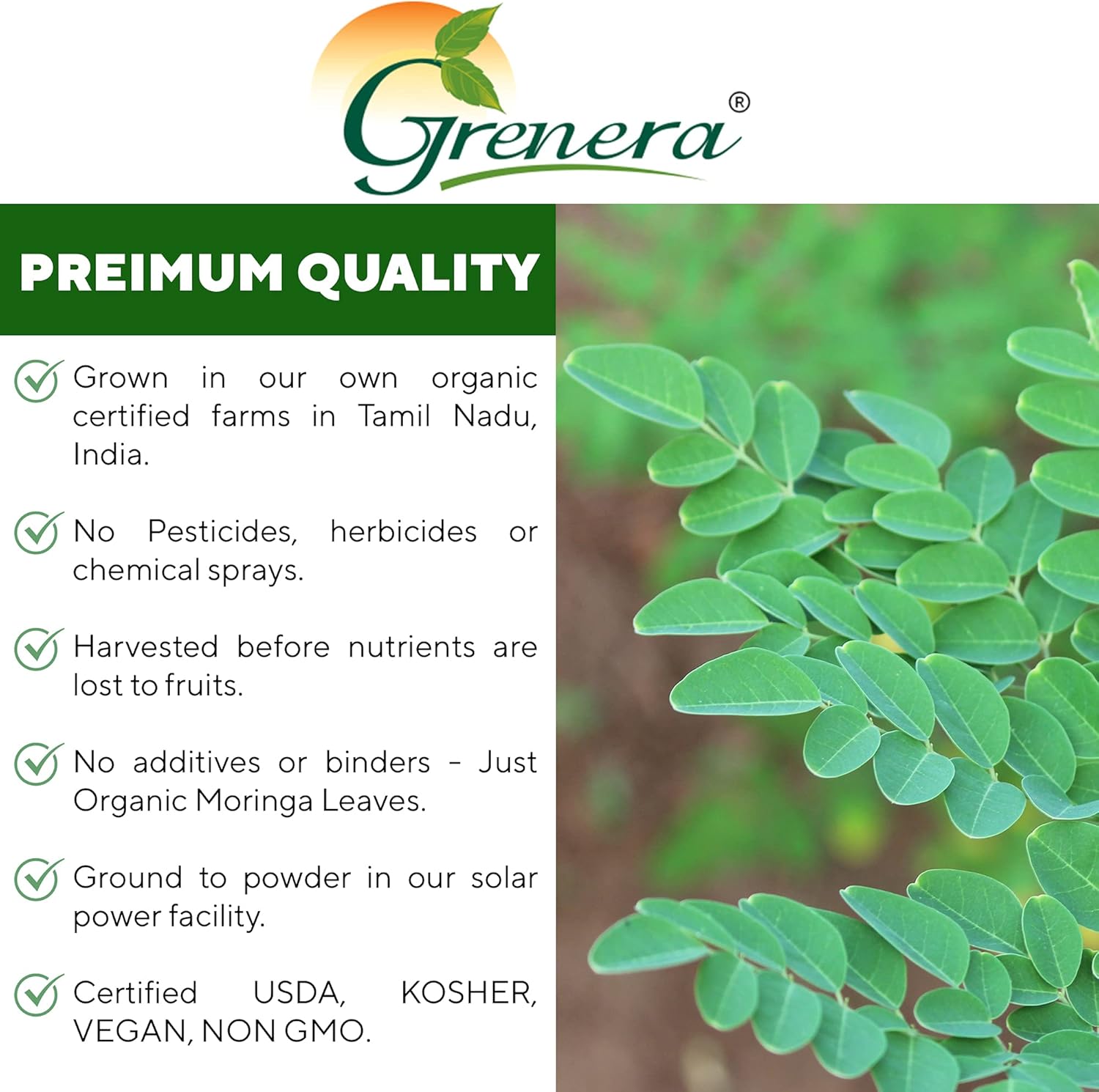 Grenera Polvo de moringa orgánica  2.2 libras (35.2 onzas)  Polvo de hoja de Moringa oleifera probado en laboratorio para pureza  Moringa en polvo