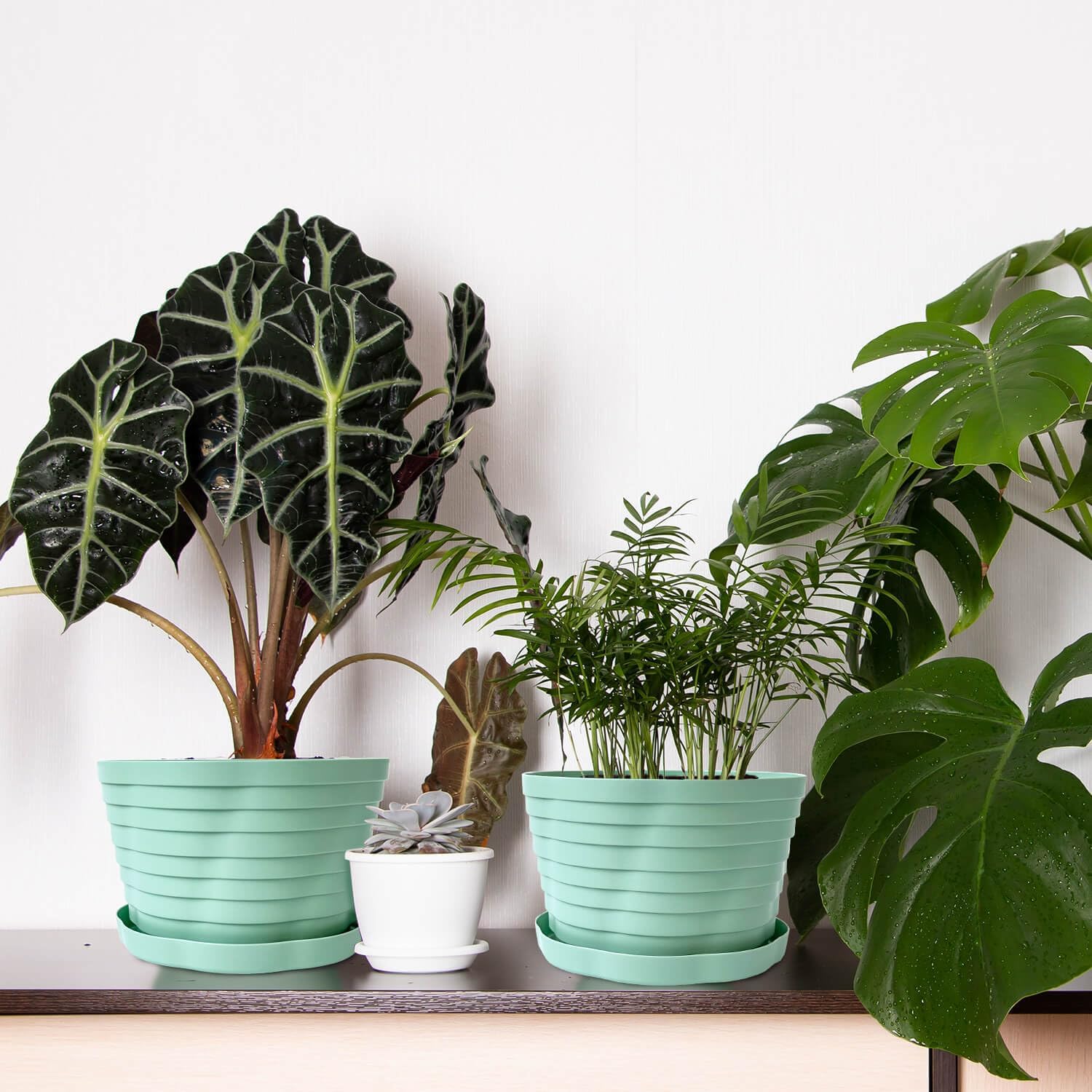 Macetas para macetas de interior, macetas decorativas de 7.7 pulgadas con agujeros de drenaje, paquete de 4 macetas para todas las flores de jardín