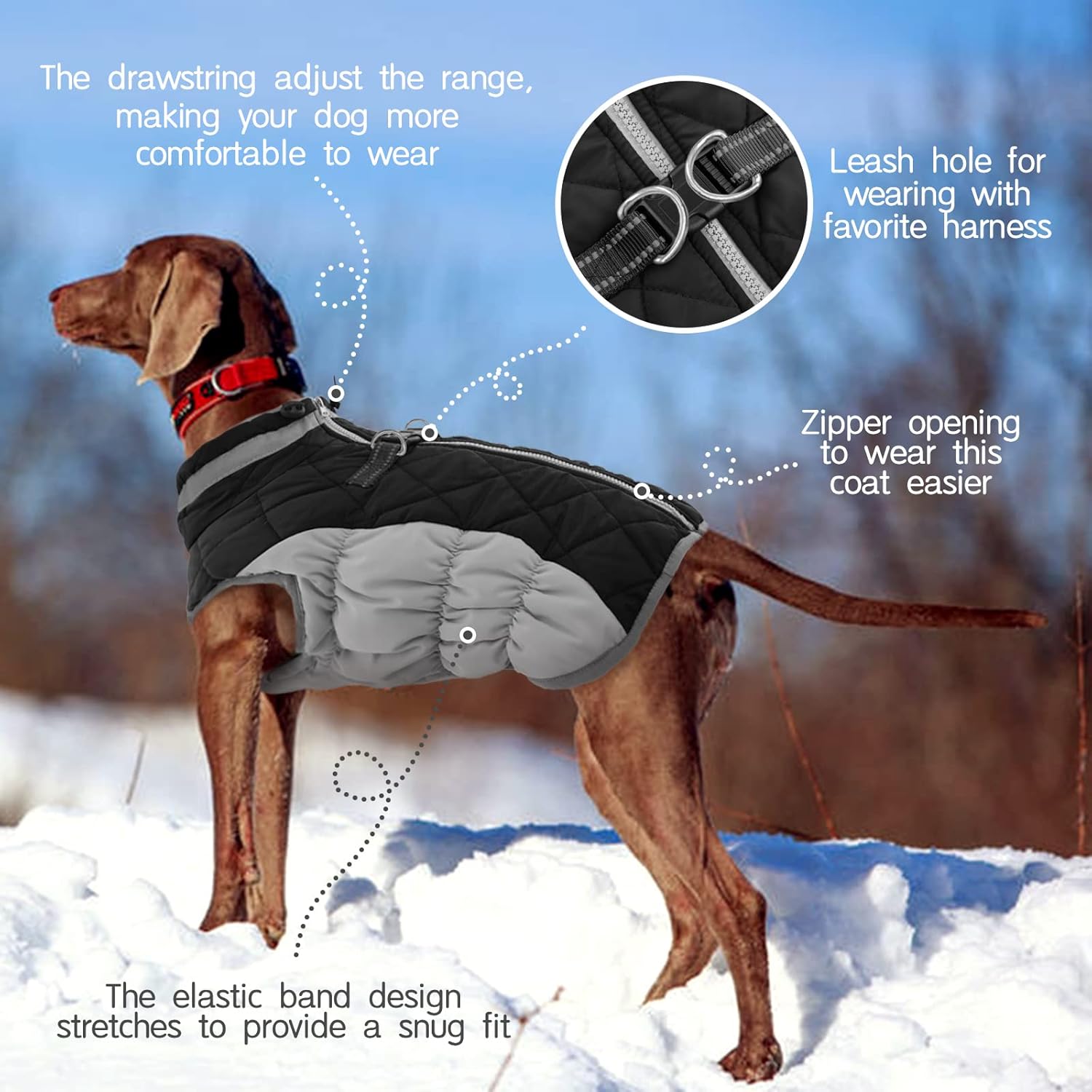 FUAMEY Chaleco acolchado para perro, abrigo reflectante de invierno para perro, chaqueta de invierno cálida a prueba de viento, ropa cómoda para