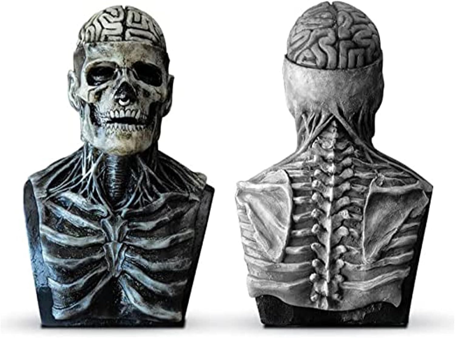 RIYUNE Máscara de látex de calavera de cerebro desnudo, máscara de calavera de Halloween, máscara de calavera en movimiento, disfraces de Halloween,