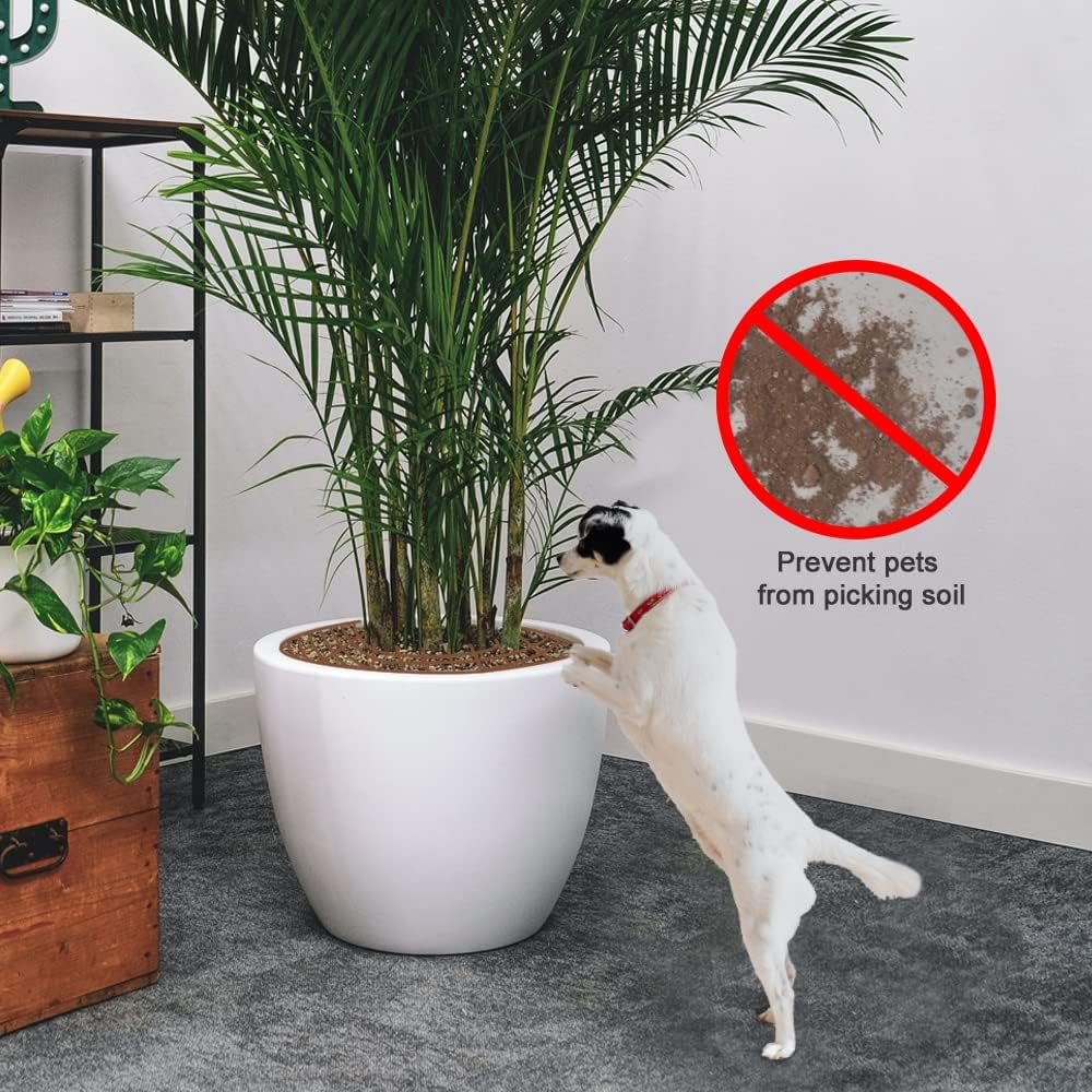 Paquete de 1 rejilla grande para macetas, protectores de suelo para macetas cortables con estacas profundas, tapón de excavación de perros, gatos,