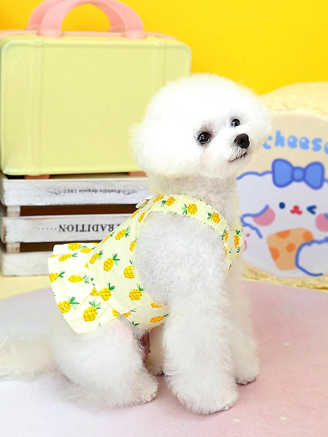 QWINEE Vestidos de princesa para cachorros, ropa para perro, ropa de verano para perritos, preciosa falda sin mangas para perros pequeños, gatos,