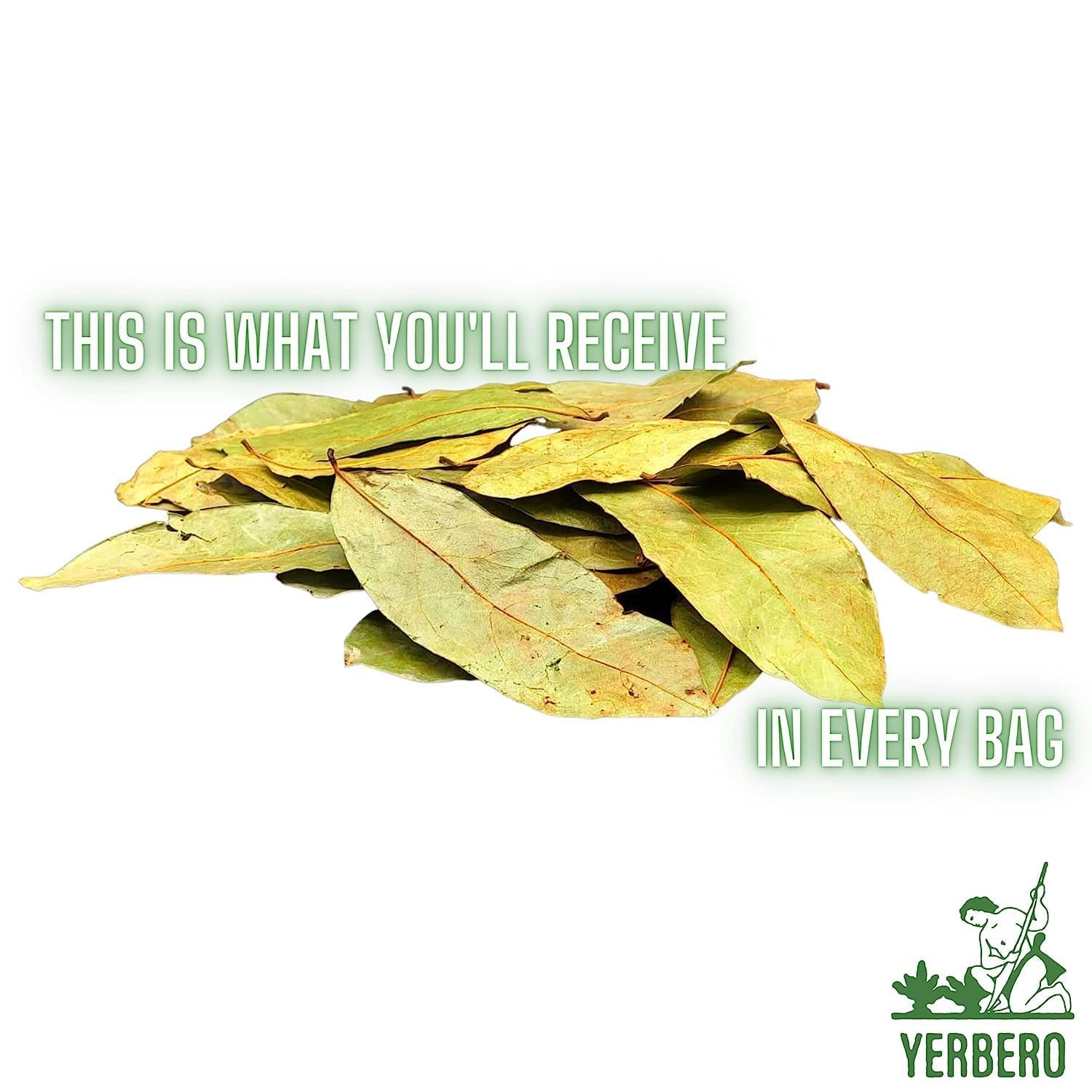 Yerbero – Polvo de guanábana de graviola seca de primera calidad, 2 oz (56 g) Hoja de Guanabana En Polvo, 100% Natural Delicioso Té Fresco  De