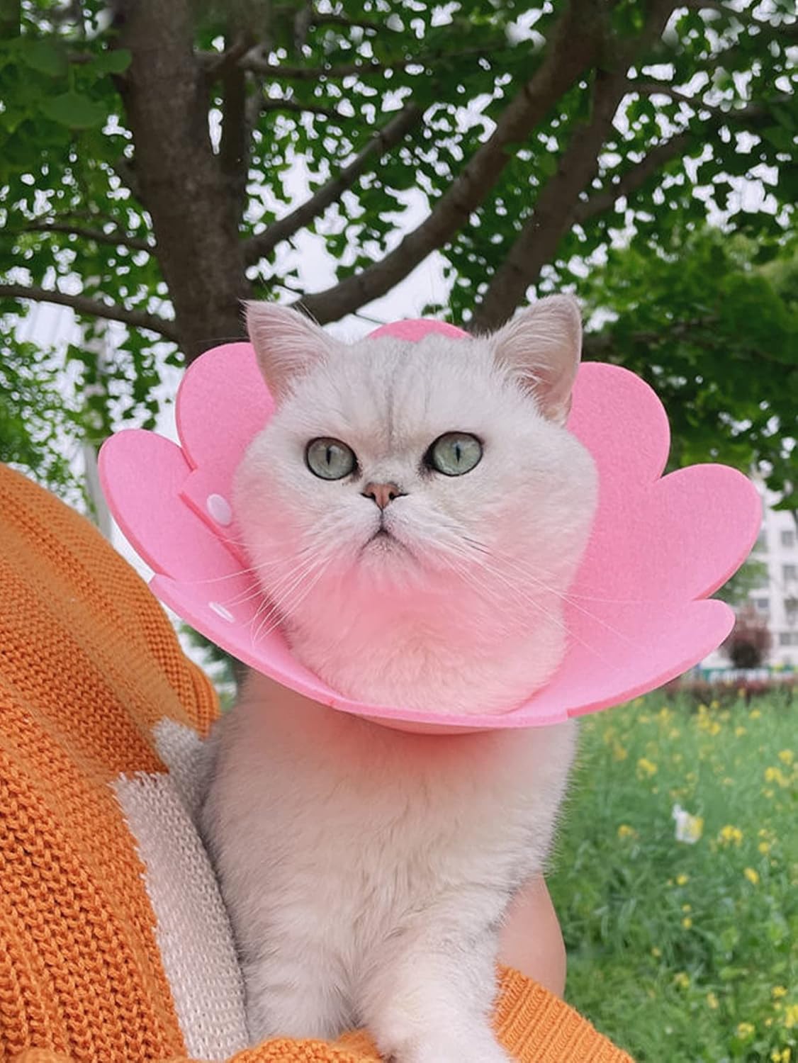 QWINEE Collar de cono de gato con forma de flor, ajustable, ligero, suave, collar de recuperación para cachorros, gatitos, perros pequeños, gatos