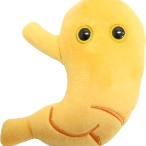 GIANTmicrobes – Peluche estomacal  Juguete anatómico de órgano, regalo de recuperación de cirugía bariátrica, regalos de bypass gástrico, manga GIANTmicrobes – Peluche estomacal  Juguete anatómico de órgano, regalo de recuperación de cirugía bariátrica, regalos de bypass gástrico, manga