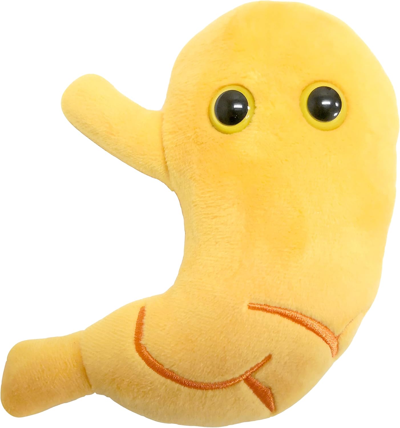 GIANTmicrobes – Peluche estomacal  Juguete anatómico de órgano, regalo de recuperación de cirugía bariátrica, regalos de bypass gástrico, manga