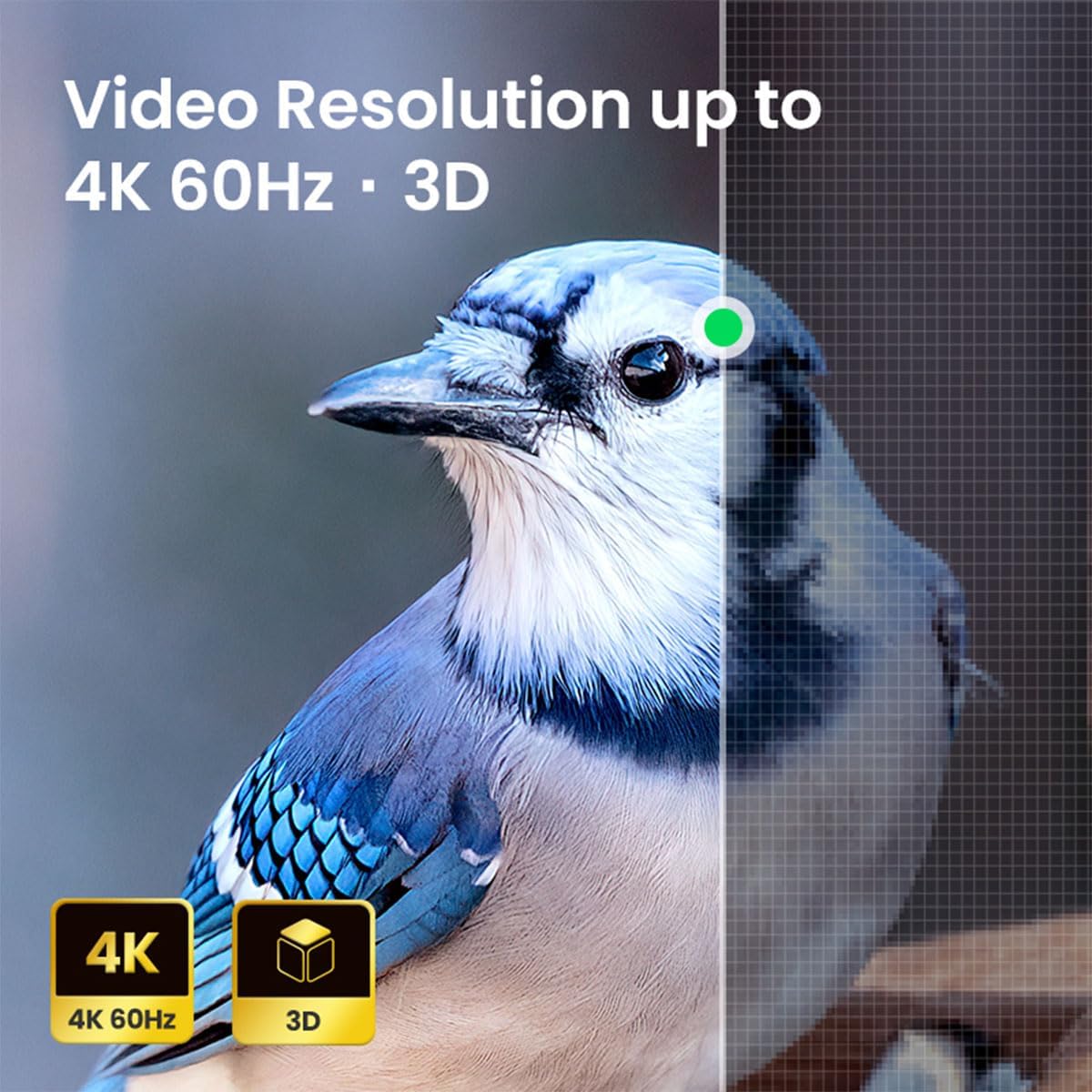PENGLIN Adaptador de montaje en panel HDMI 4K 60Hz, HDMI 2.0 Panel roscado acoplador de montaje fijo hembra a hembra para proyector de monitor de TV