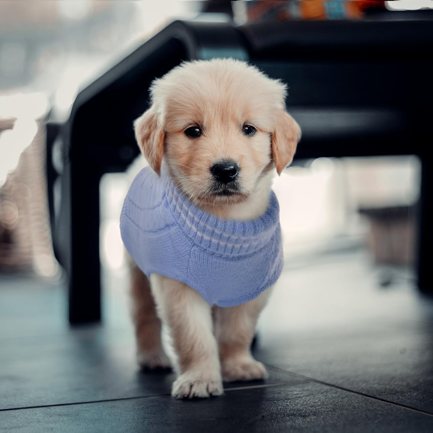 ROZKITCH Suéter para perro, suéter de punto para clima frío para otoño e invierno, suéter de cuello alto para perro, ropa clásica gruesa y cálida