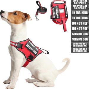 Juego de arnés y correa para perro, chaleco de entrenamiento para perro con 10 parches de velcro, arnés de chaleco de terapia de apoyo emocional Juego de arnés y correa para perro, chaleco de entrenamiento para perro con 10 parches de velcro, arnés de chaleco de terapia de apoyo emocional