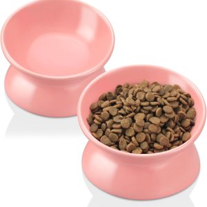 PAILUOMU – Tazones elevados de cerámica para gatos, juego de 2 cuencos elevados inclinados para alimentos y agua para mascotas, plato comedero para PAILUOMU – Tazones elevados de cerámica para gatos, juego de 2 cuencos elevados inclinados para alimentos y agua para mascotas, plato comedero para