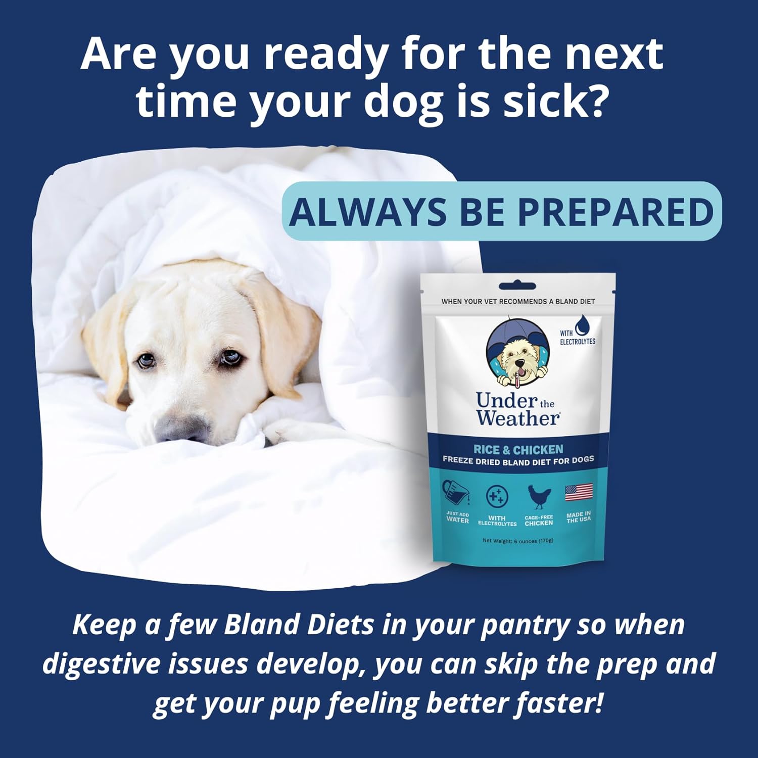Under the Weather Dieta suave fácil de digerir para perros enfermos  Contiene electrolitos  Sin gluten, todo natural, carne liofilizada 100% de