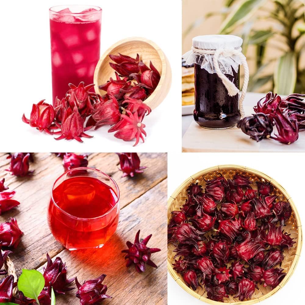 QAUZUY GARDEN 50 semillas de acedera jamaicana Florida arándano indio roselle hibisco sabdariffa semillas de hibisco sabdariffa planta nutritiva sin
