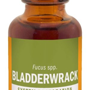 Herb Pharm Extracto líquido Bladderwrack – 1 onza (DBLADD01) Herb Pharm Extracto líquido Bladderwrack – 1 onza (DBLADD01)