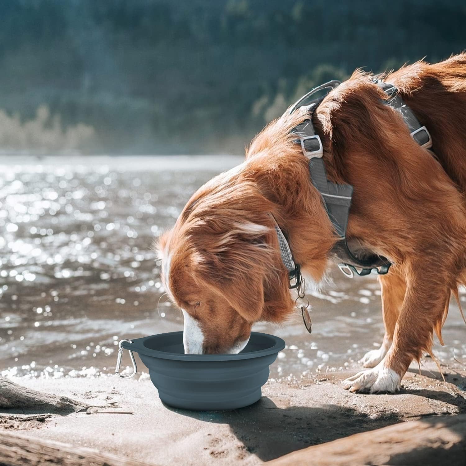 COOYOO Cuencos plegables para perros de 23.7 fl oz, paquete de 2 cuencos de agua portátiles plegables para perros y gatos, plato de riego plegable